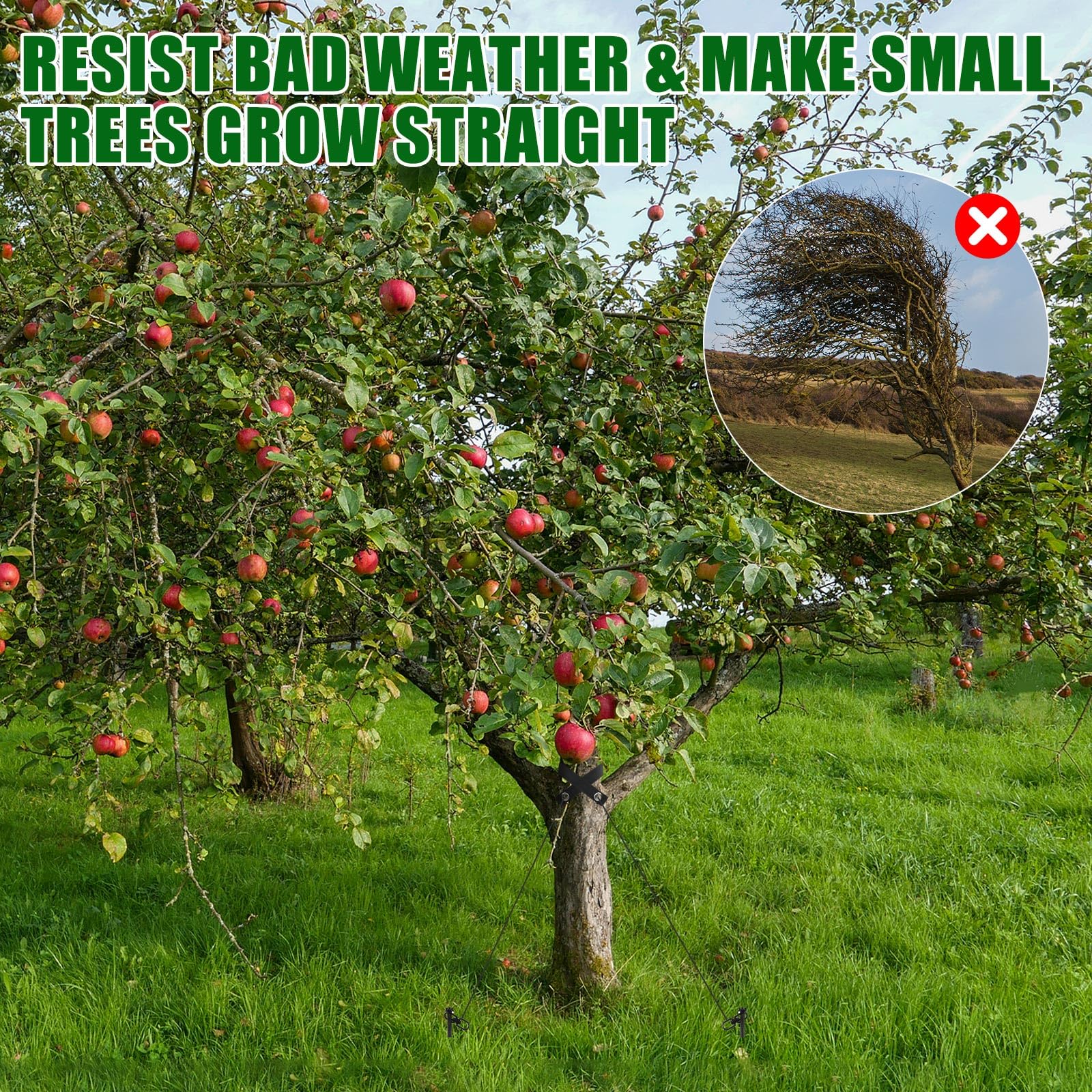 Lasnten 3er-Set Baumpfahl-Set, robuste Baumpfähle und Stützgurte zum Glätten, Anlehnen junger Bäume, Stabilisator, Metall-Spiralpfähle, Anker, schützt vor schlechtem Wetter (schwarz)