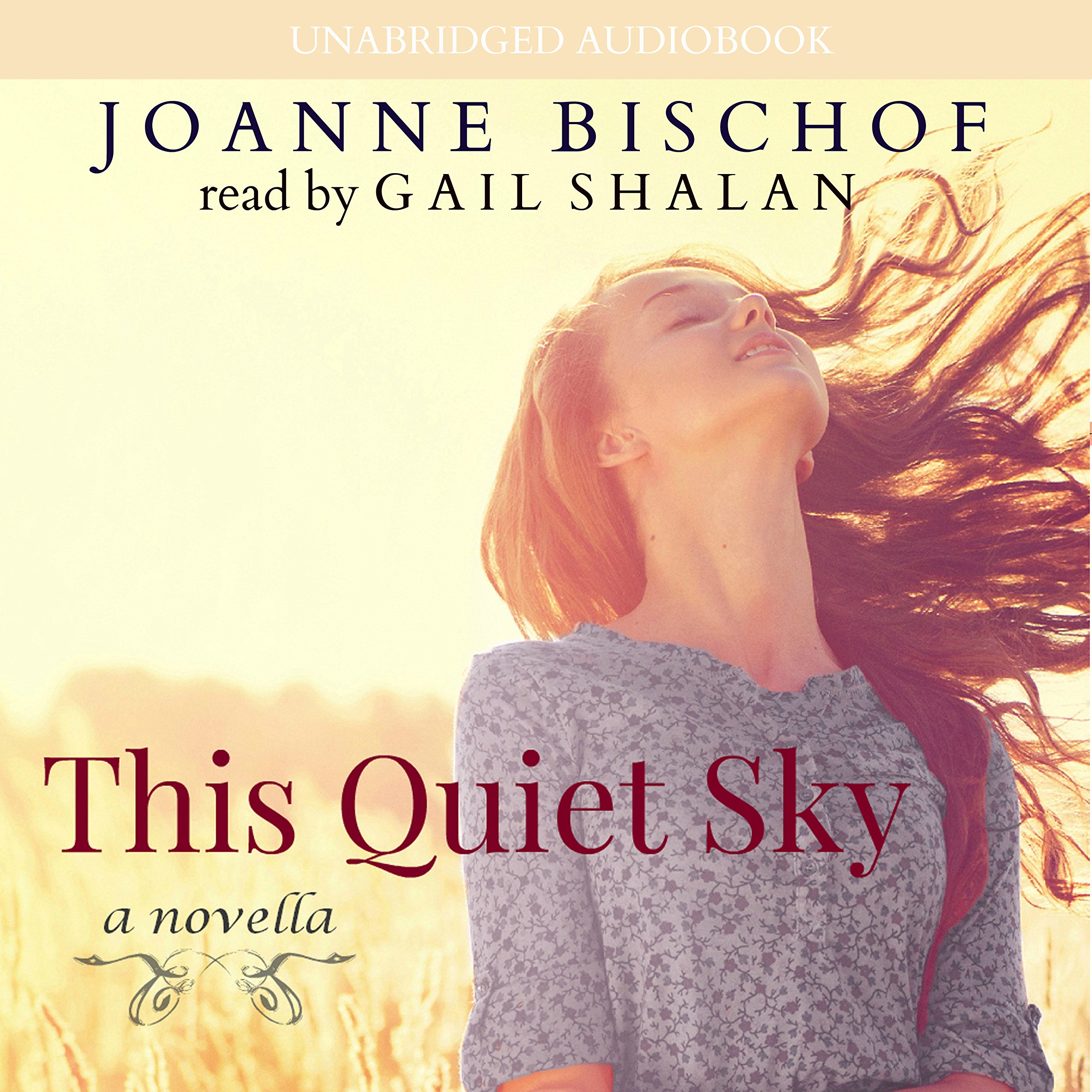 Cover art for This Quiet Sky: A Novella