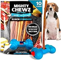 Vista 12 de Palitos de carne de 7 pulgadas de grosor (paquete de 10) con dispositivo de seguridad Bully Stick, sin asfixia, palitos de Pizzle totalmente