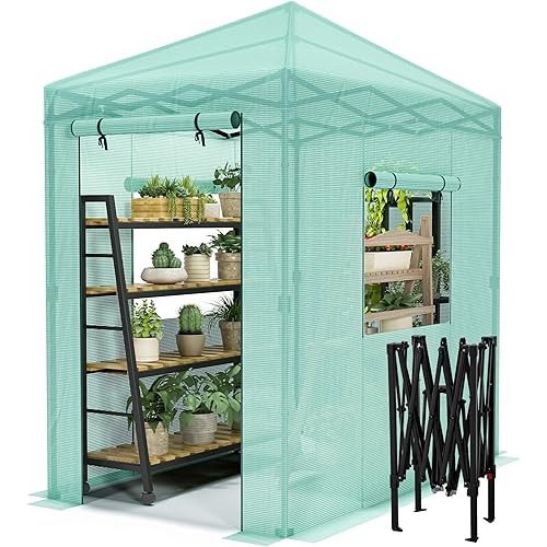 Devoko Walk-in Greenhouse, Portable Pop-in Green House with Zippered Door and 2 Roll-up Windows and PE Cover, Portable and Easy Assemble (Green, 6x4 Feet)