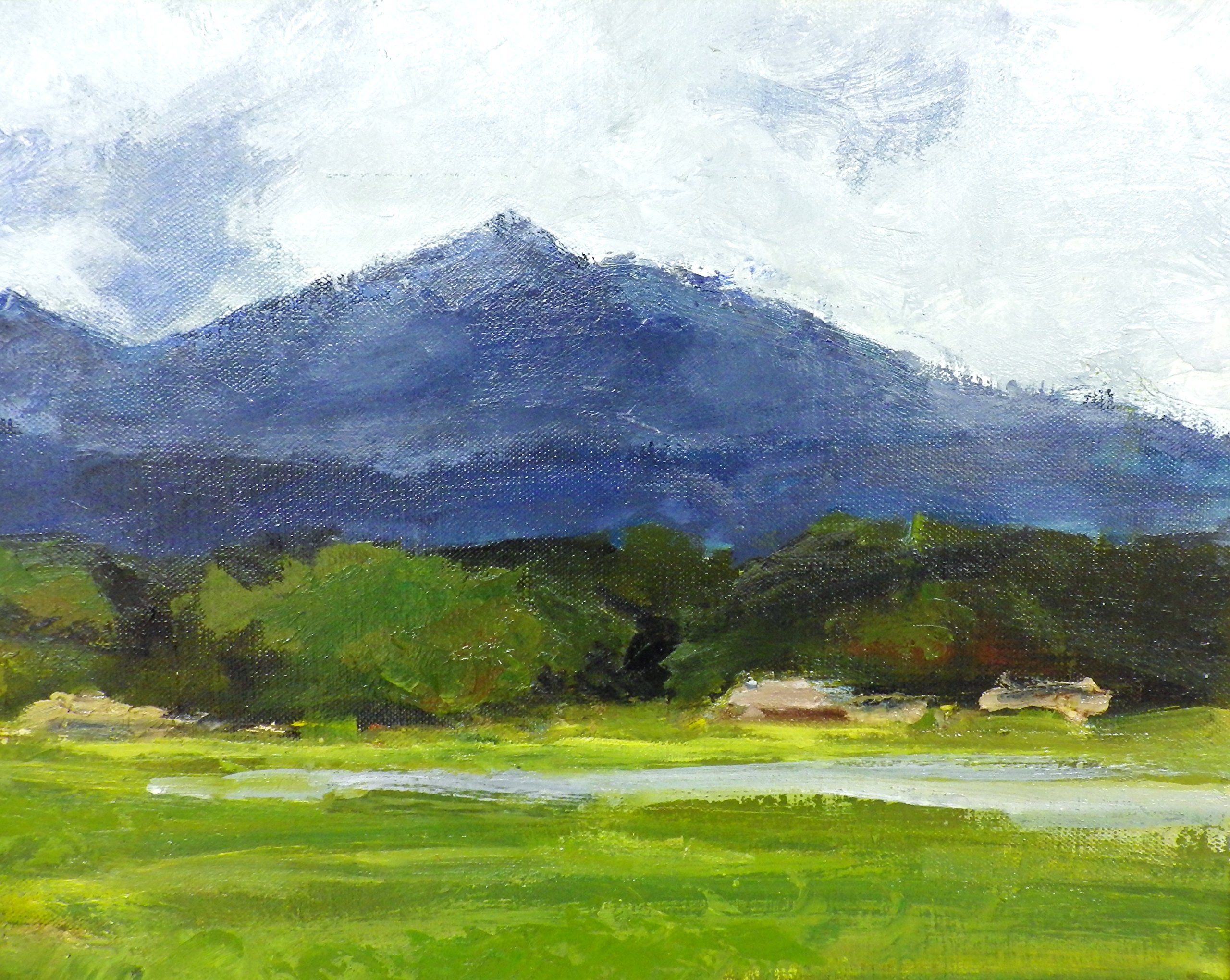 【中古】M▽服部正一郎 油絵 油彩 風景画 鳴門 F3 (37733) 中古】M▽服部正一郎 油絵 油彩 風景画 鳴門 F3 (37733) 中古】M