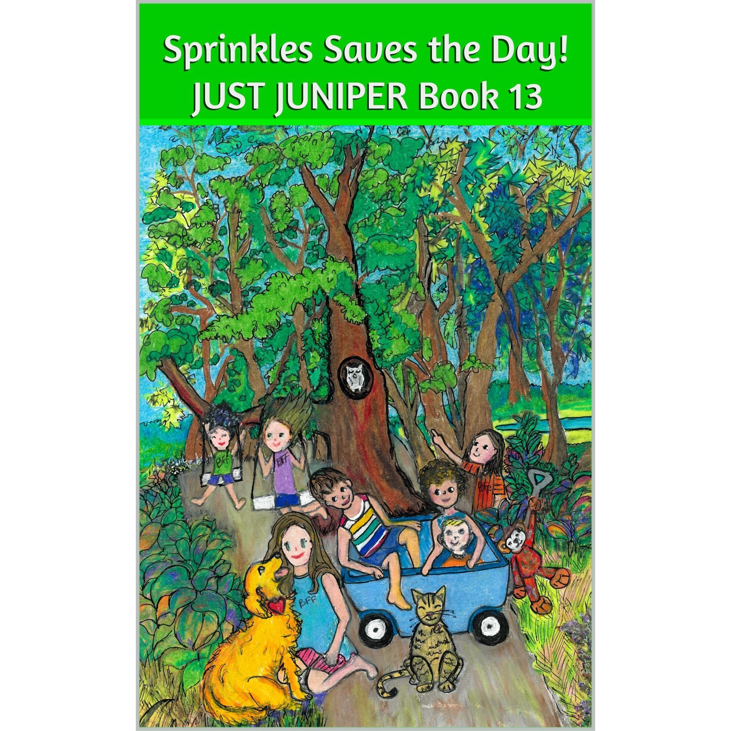 Sprinkles Saves the Day! A JUST JUNIPER Adventure Book 13