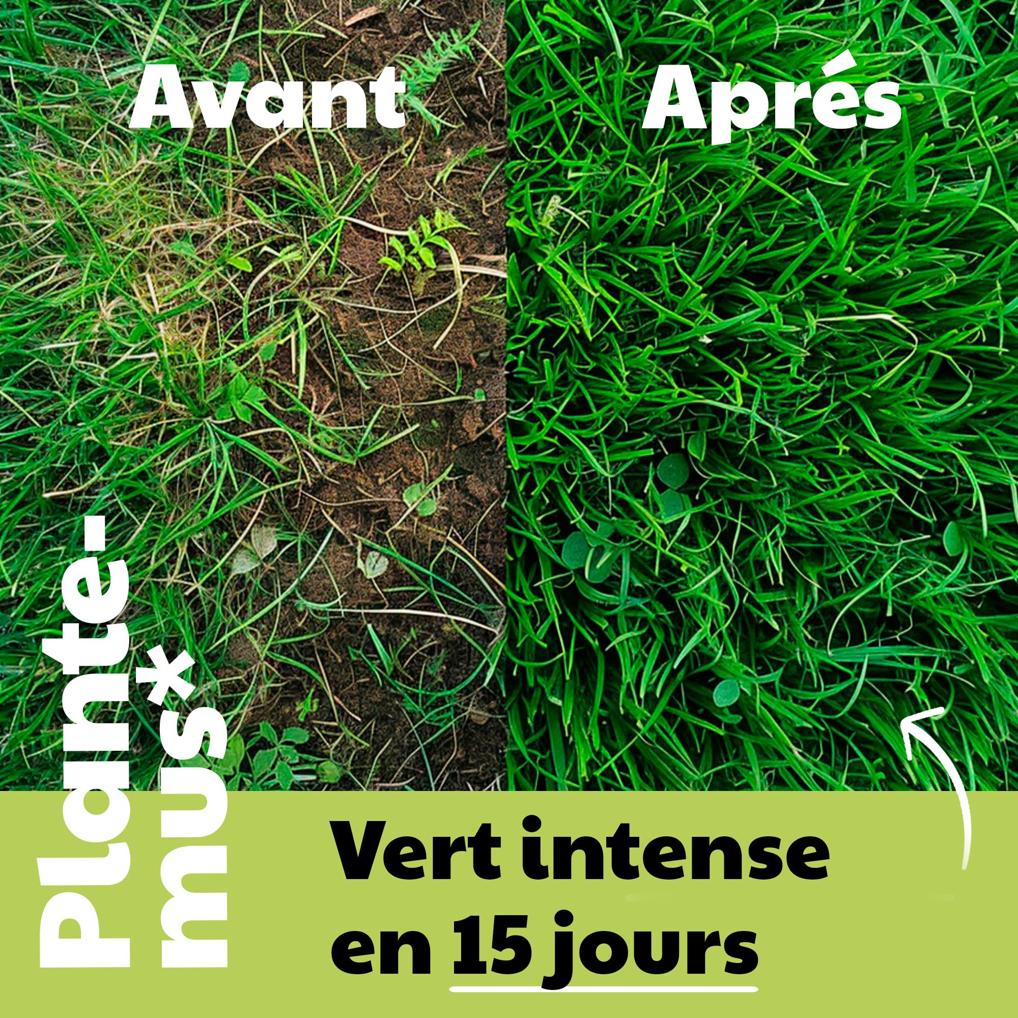 PLANTEMUS Engrais pour Gazon Effet Vert Turbo 350 m² Microcristaux Ultrasolubles Engrais Azoté 10 kg