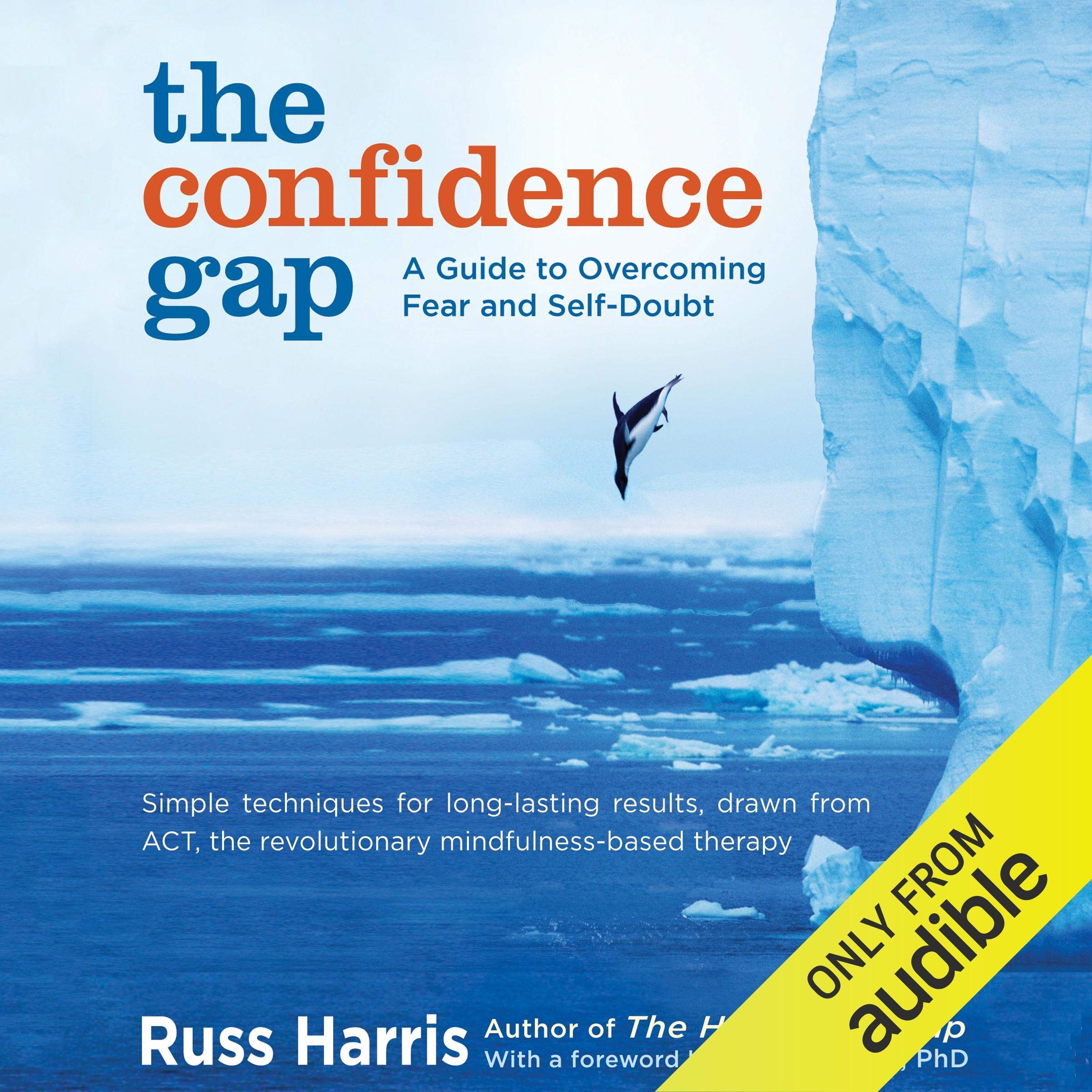 Cover art for The Confidence Gap