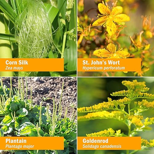 Miniatura 4 de Herb Pharm Fórmula líquida Calm Bladder para apoyo del sistema urinario - 1 onza