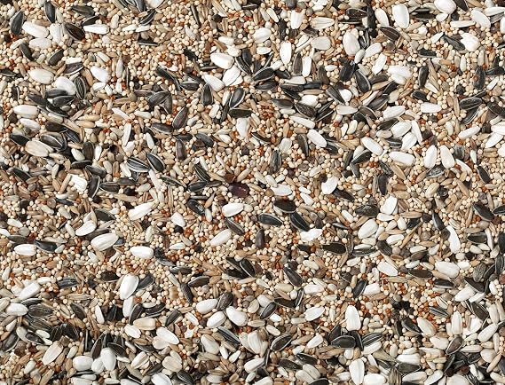 Johnston & Jeff Cockatiel & Big Parakeet Seed 3Kg