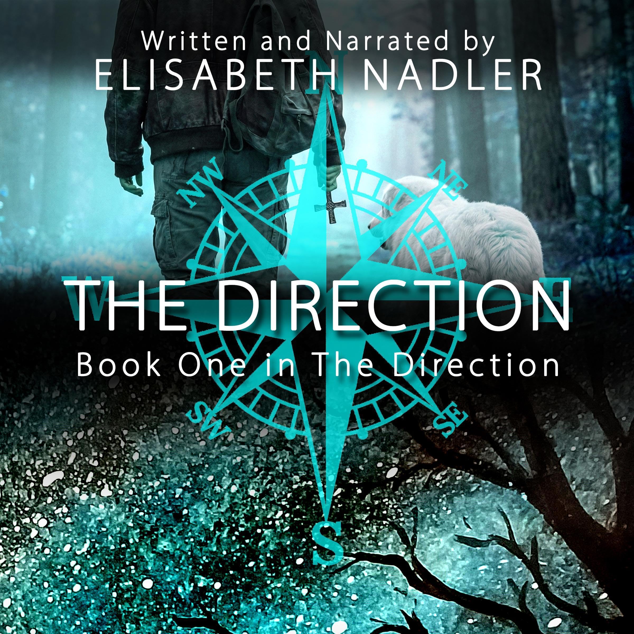 Cover art for The Direction, Book One