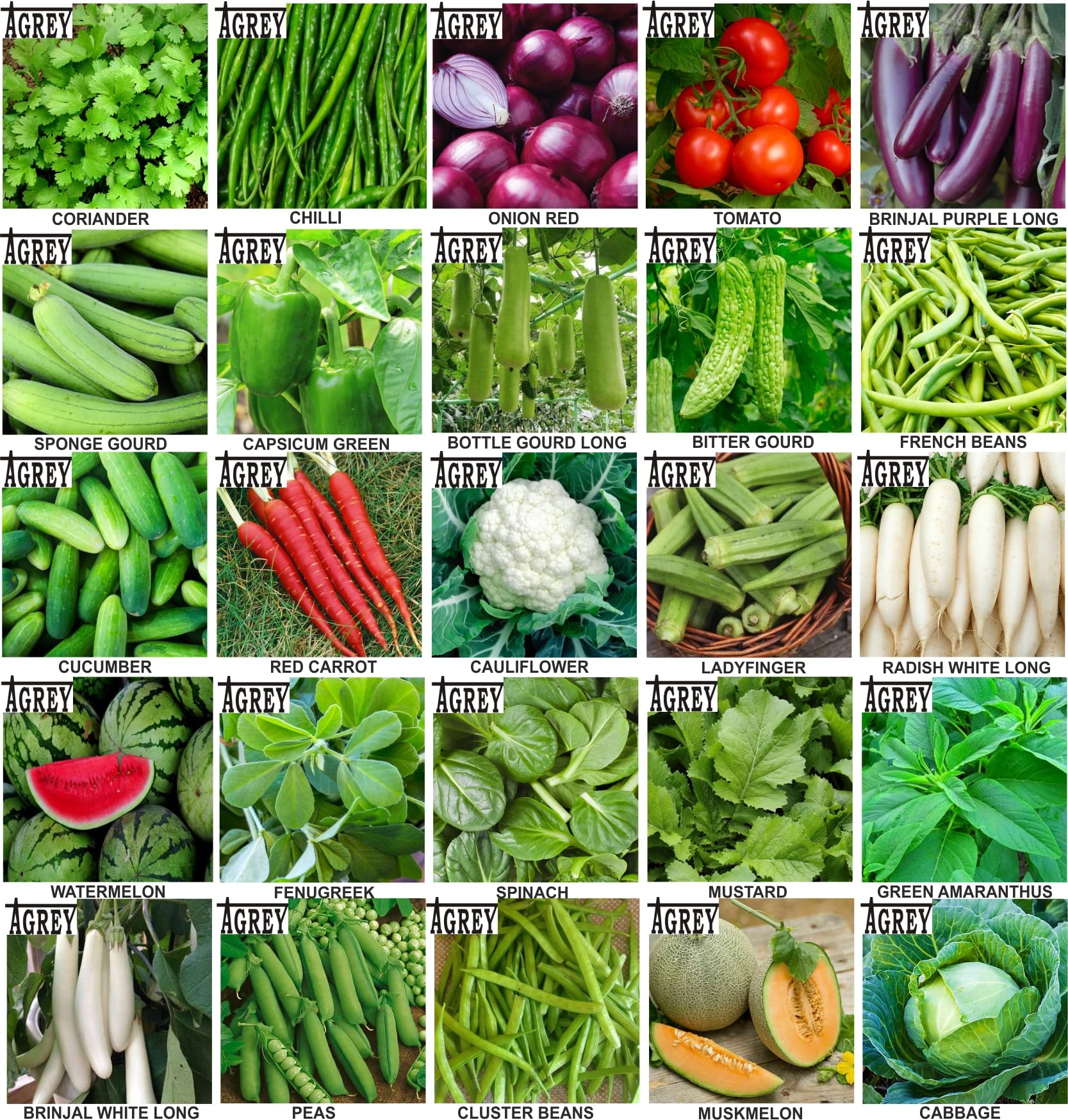 Agrey combo of 25 variety vegetable seeds with manual. (B0CSWPBF3G) Amazon Price History, Amazon Price Tracker