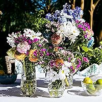 Vista 8 de Juliska Vaso pequeño acrílico Amalia - Transparente