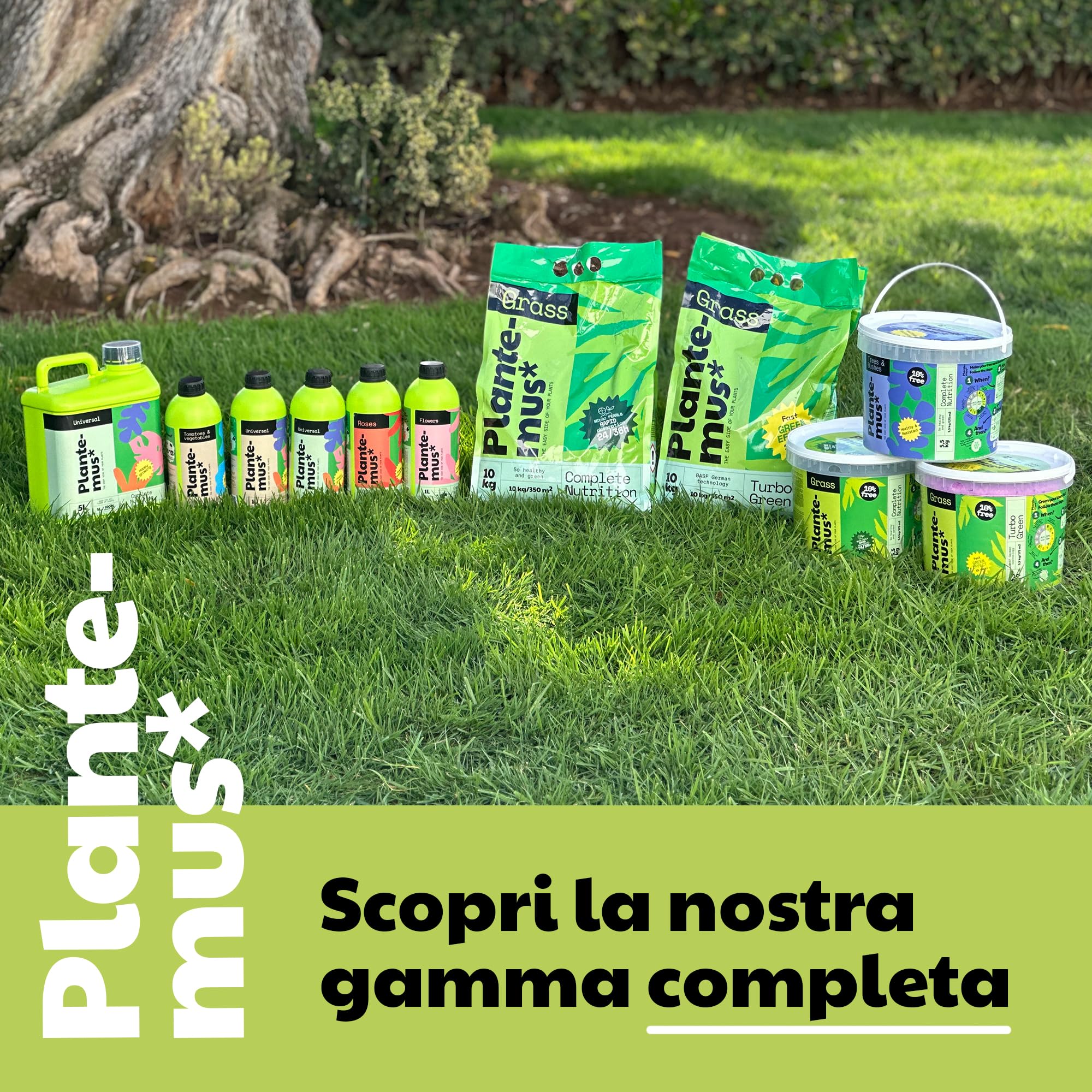 PLANTEMUS Concime per Prato Premium a Effetto Prolungato per 350 m² | Concime NPK (12-11-18) granulare in Perle Ultrasolubili | Nutrizione Completa per un Prato Forte, Verde e Denso 10 kg