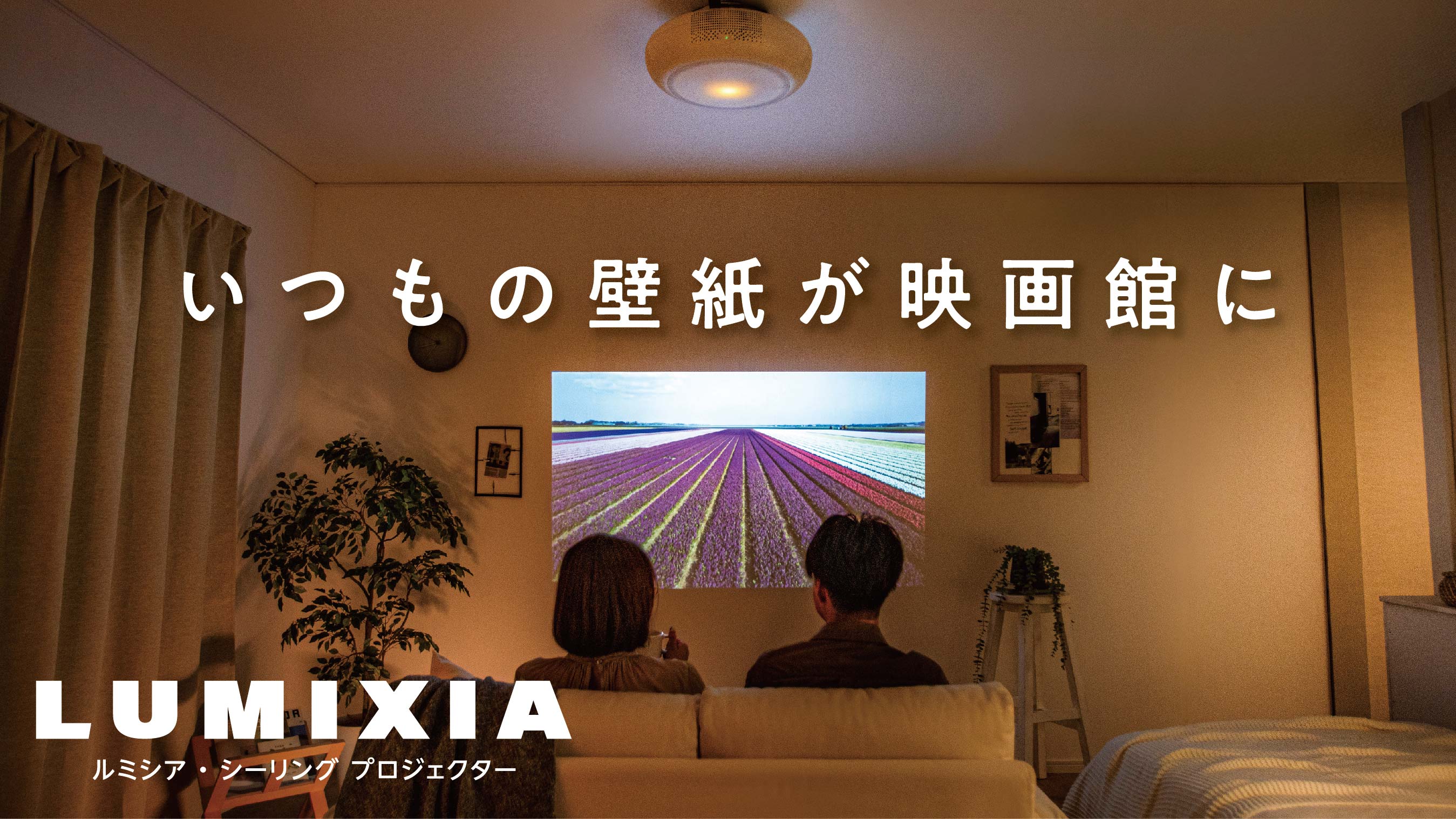 Amazon.co.jp: ドウシシャ（DOSHISHA): LUMIXIA