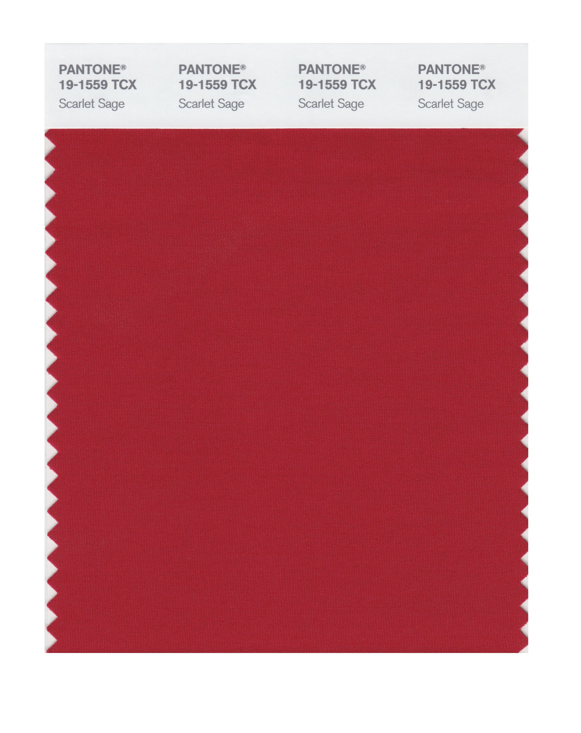 パントーンカラー Amazon | Pantone 19-1559 TCX Smart Color Swatch Card