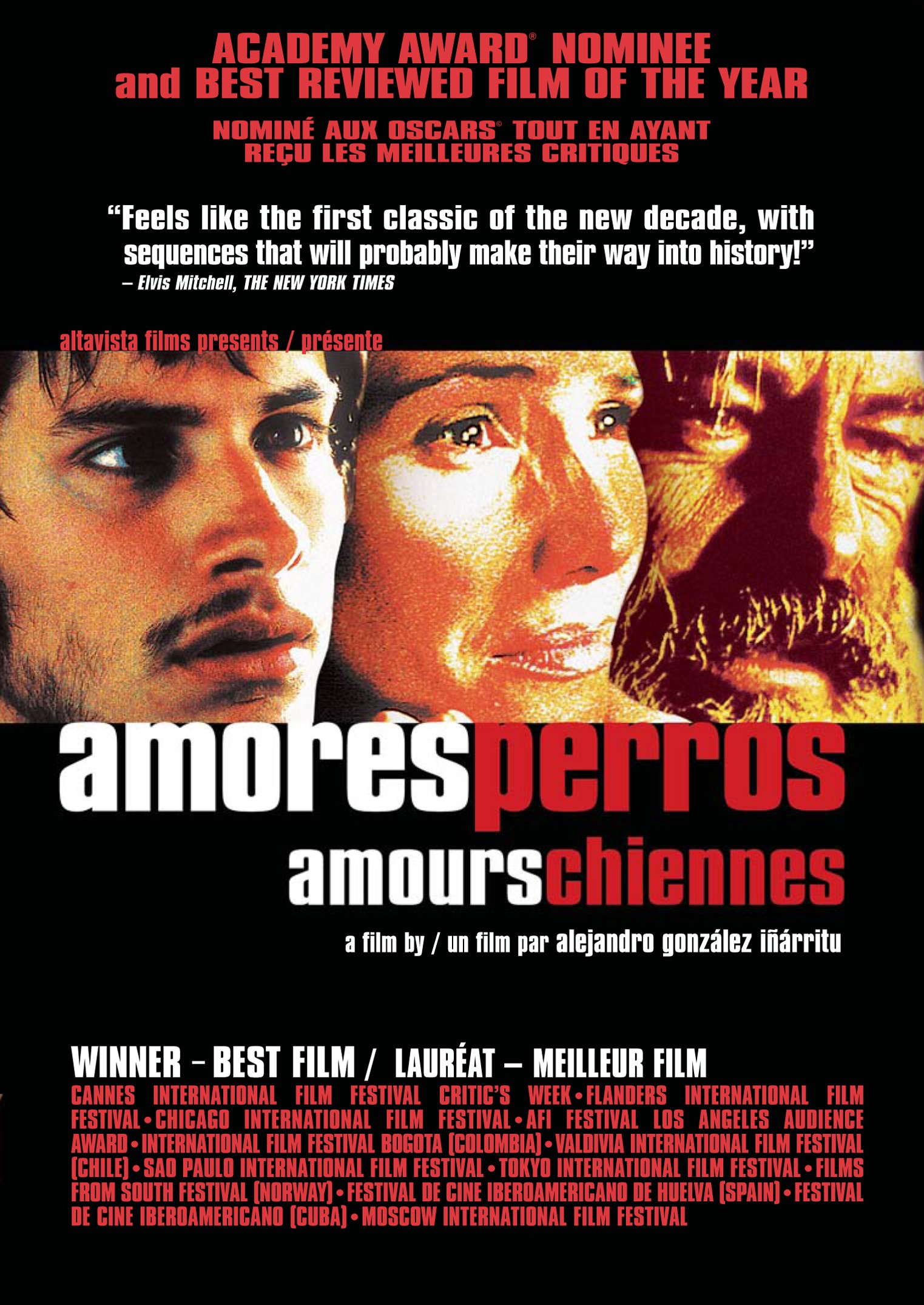 Amores Perros (Amours chiennes) [DVD]
