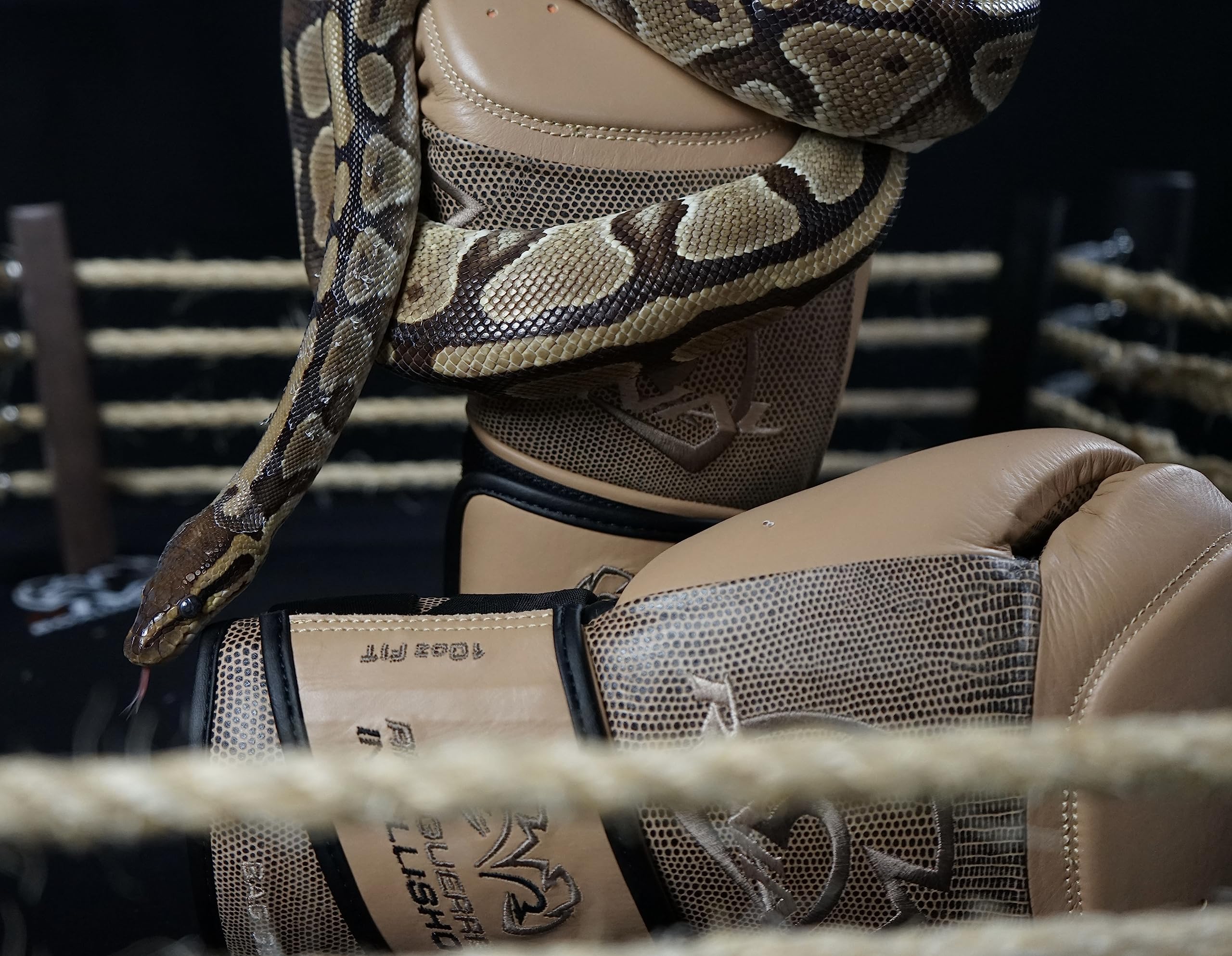 Guanti RIVAL RFX-Guerrero Intelli-Shock Ed. Limitata Pelle Serpente