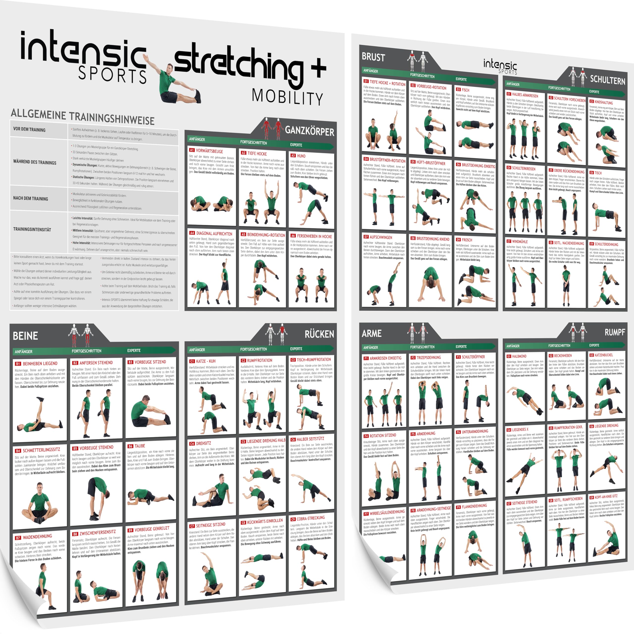 Poster D'Étirement + Mobility Intensic SPORTS - 60 Exercices Fitness Pour Plus De Souplesse Et Mobilité à La Maison