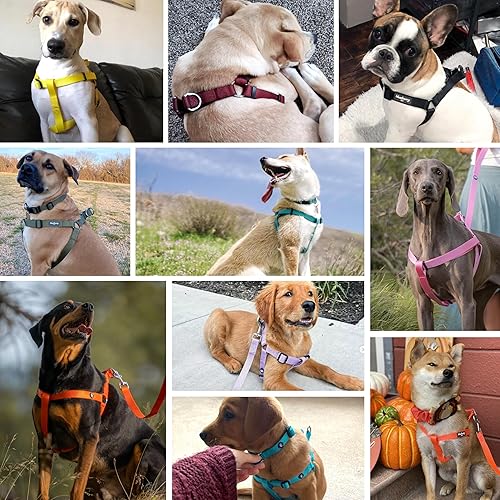 Miniatura 5 de Blueberry Pet Essentials - Arnés clásico y duradero de nailon sólido para perro, contorno de pecho de 16.5 a 21.5 pulgadas, morado, pequeño, arneses