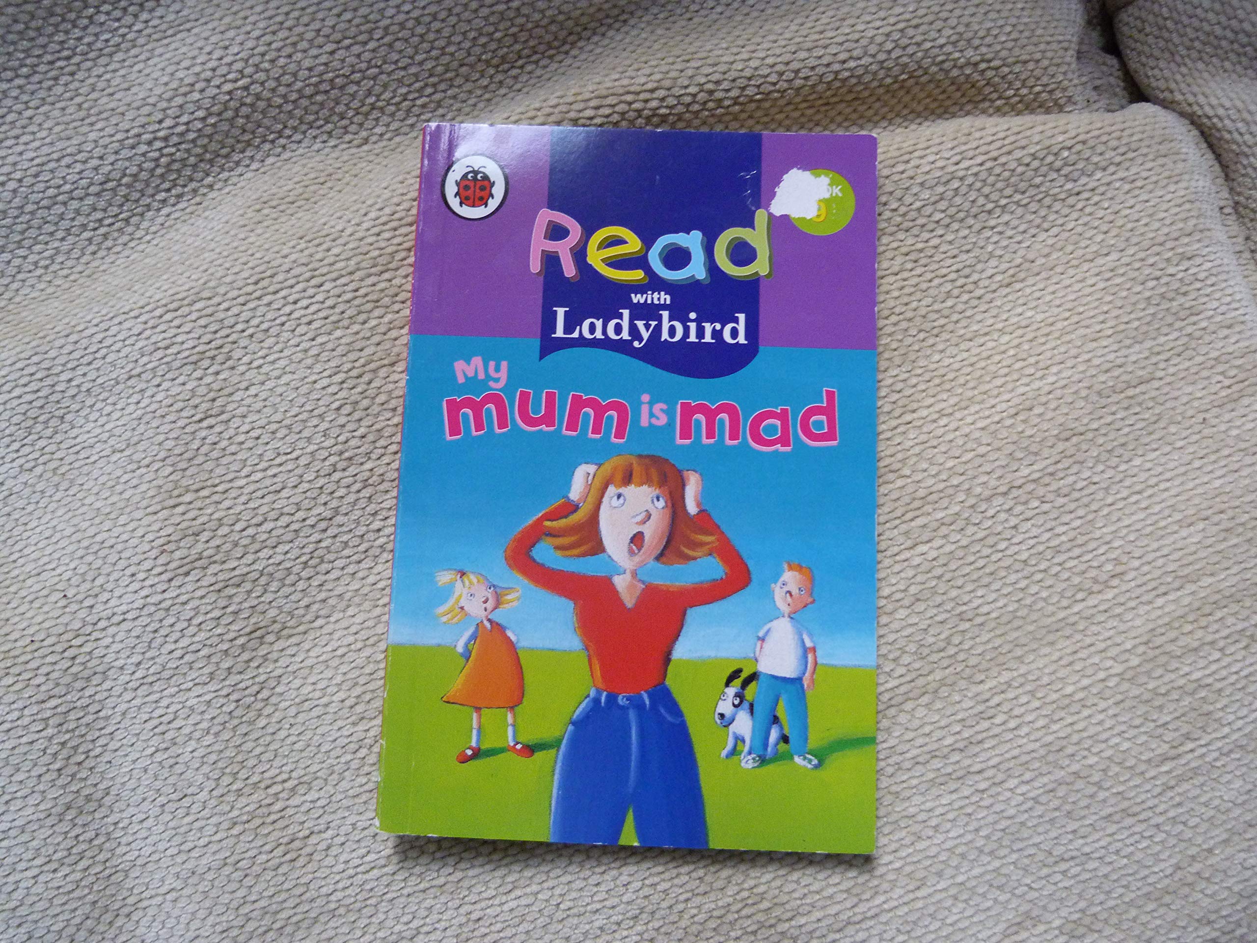 Ladybird Mirror Promotion