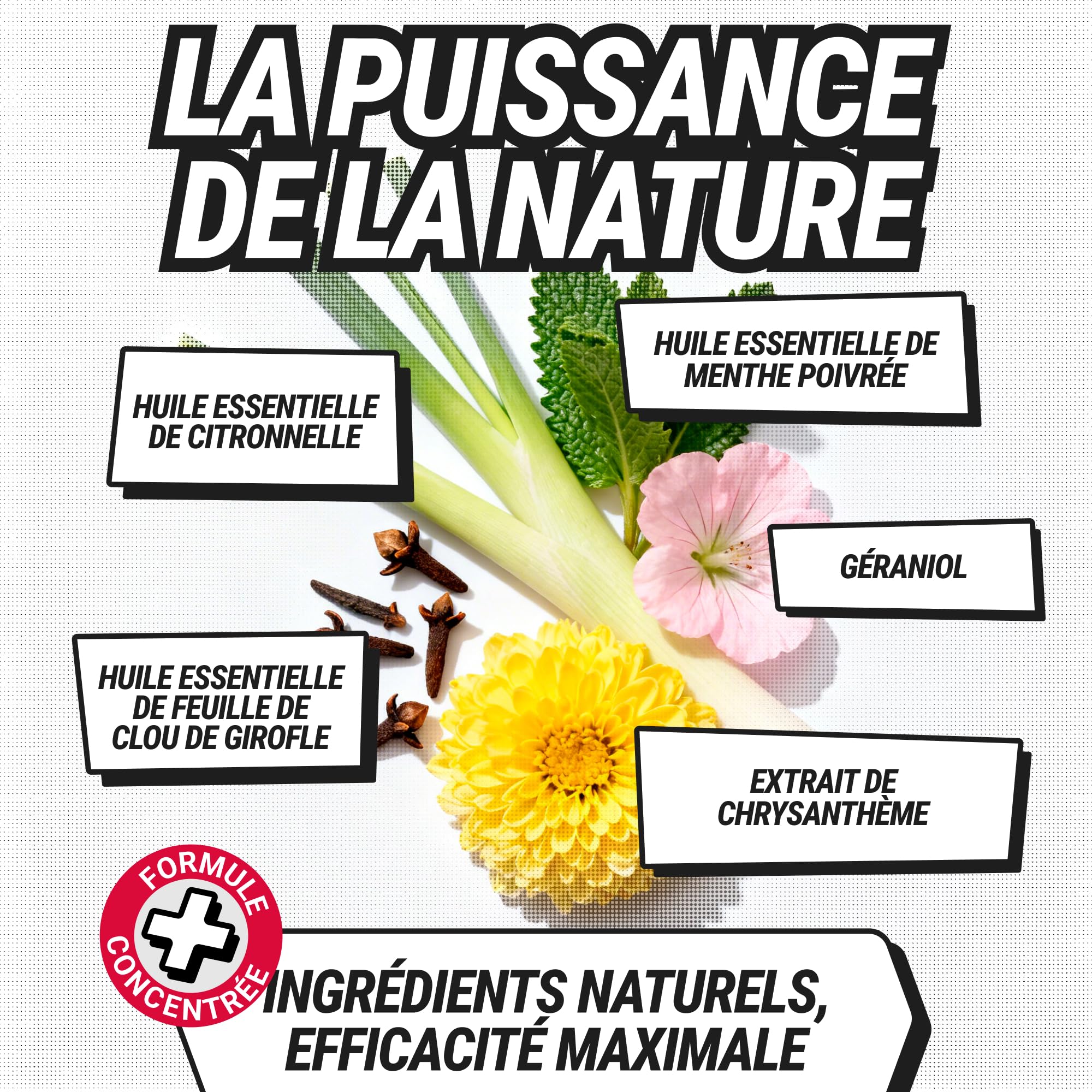 RepellShield® Spray Anti Guepe pour Piscine, Toiture, Jardin -500ml- Non Tachant - Barrière Répulsive à Base de Plantes et Extrait de Chrysanthème - Anti Guepes et Frelons Exterieur