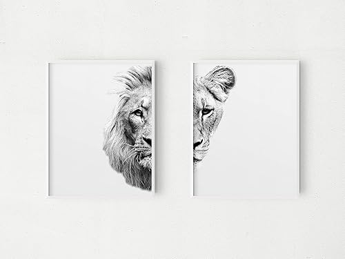 Black and White Pair of Lions Prints  Matching Mr and Mrs Set of 2 Prints  Lion and Lioness Photo Print  11x14 Safari Wildlife Art Ready to Frame