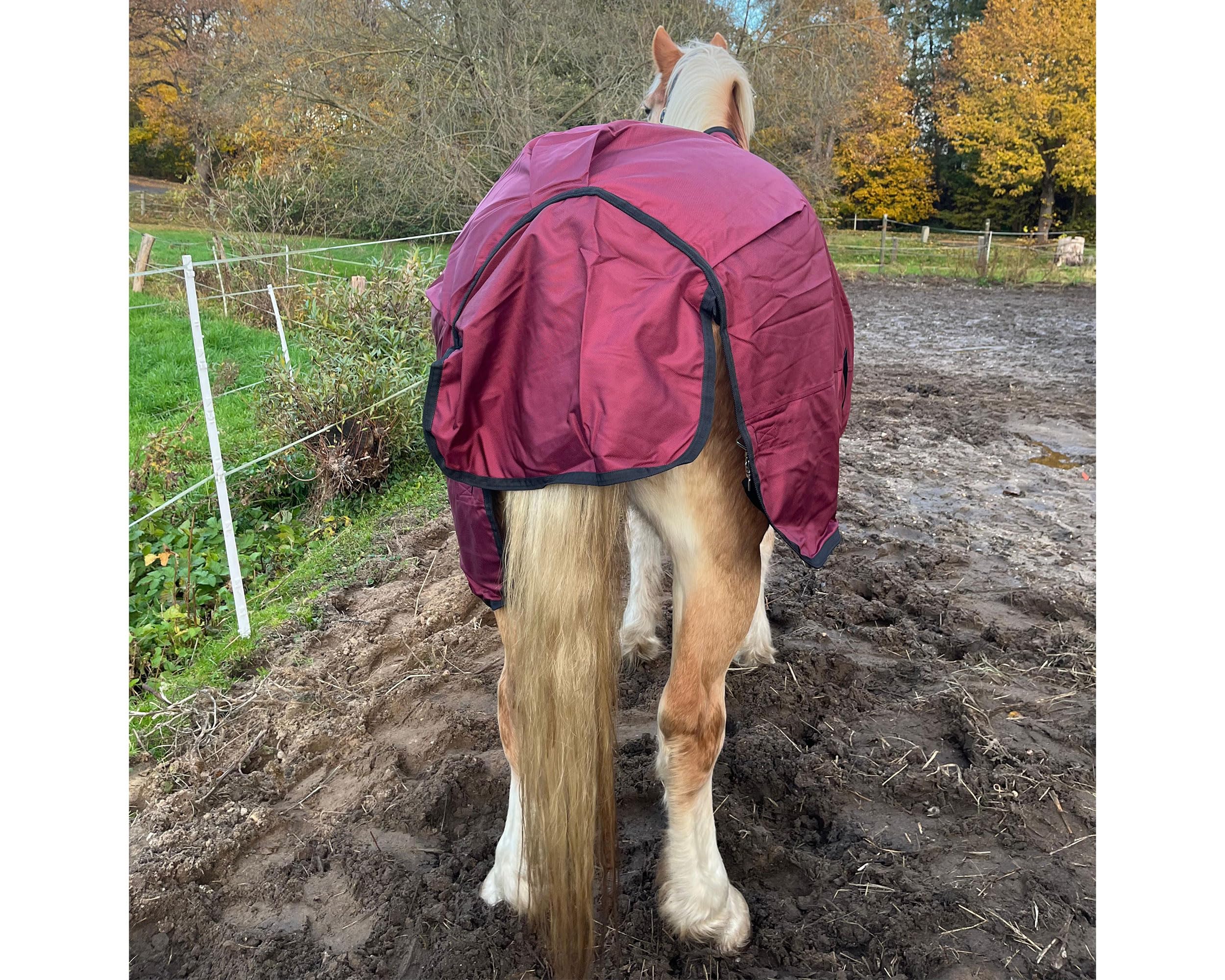 Brama-West Winterdecke Pferd Red Winter | Outdoordecke 1680D - 200g | wasserdichte Pferdedecke | Weinrot (145)