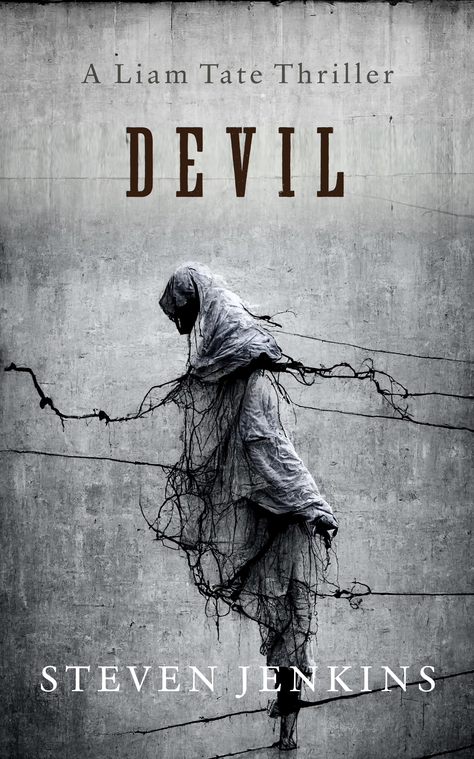 Devil: A Liam Tate Supernatural Thriller #2