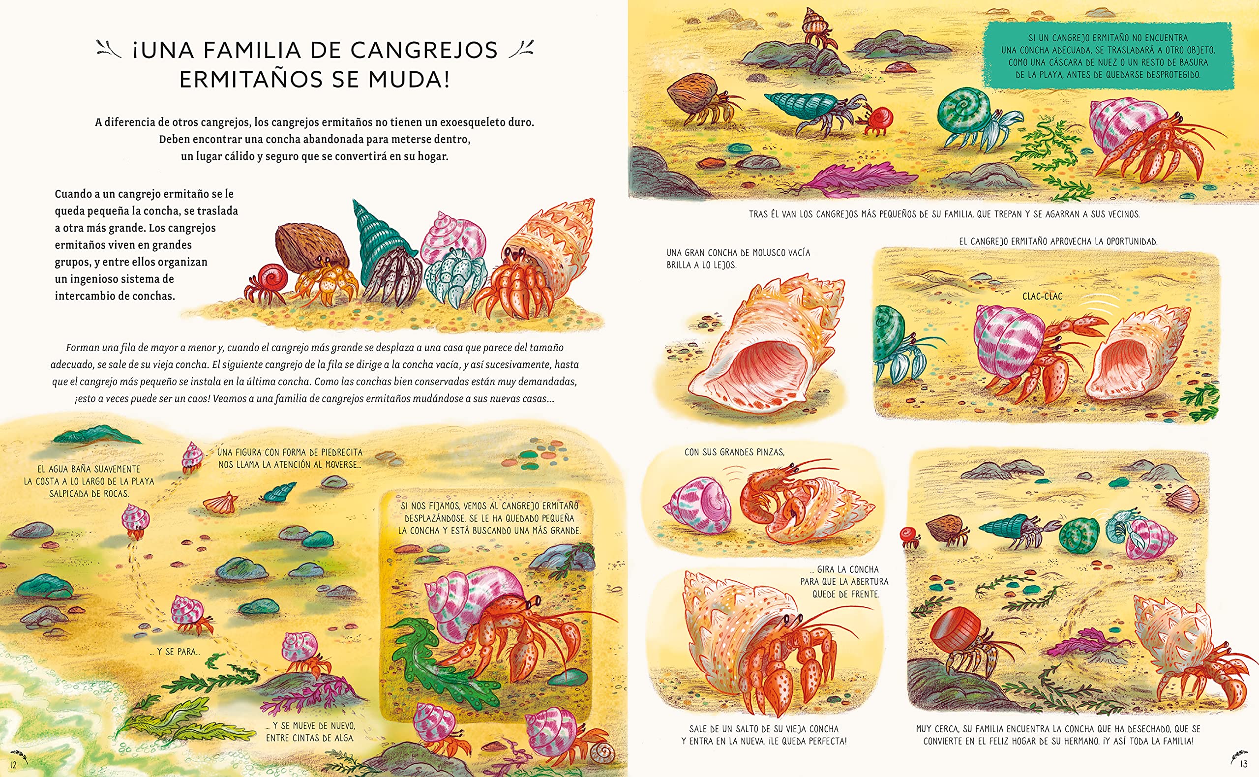 Con calma, aquí y ahora: Más historias de la naturaleza