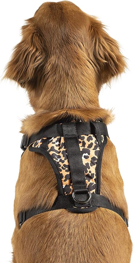 canada pooch no pull harness