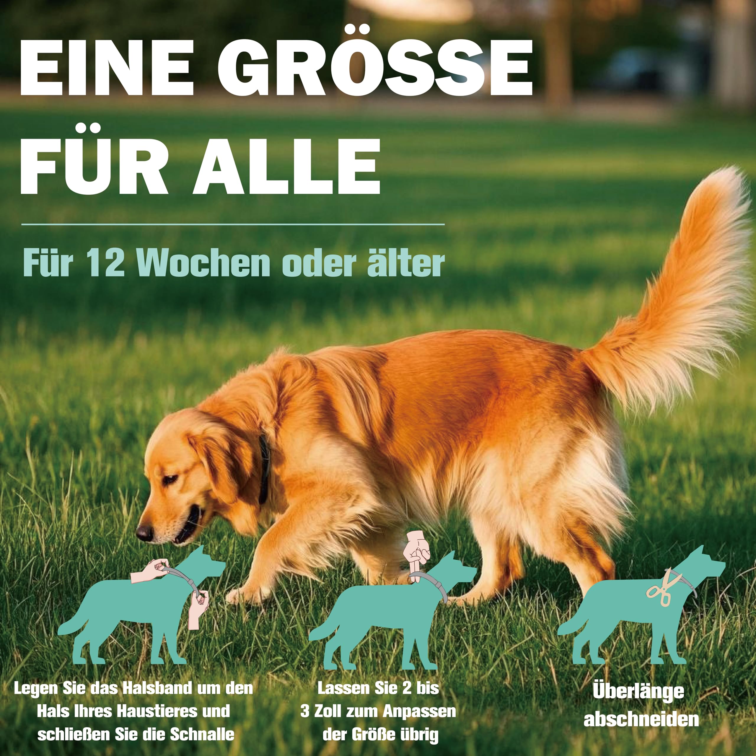 Zeckenhalsband für Hunde 2 Stück, Flohhalsband Hunde, Floh und Zeckenhalsband Hund, Zeckenschutz Flohschutz Halsband für Hund, 16 Monate Zeckenschutz