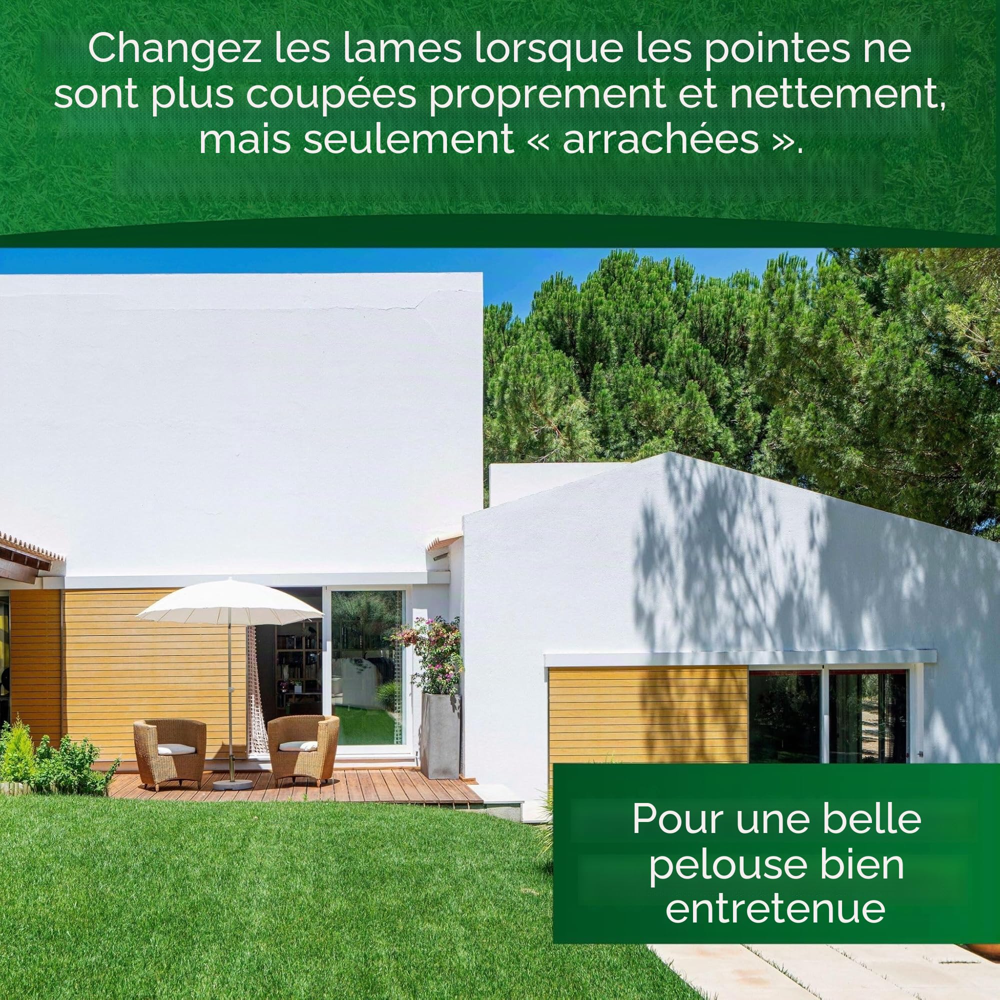 Couteau en titane compatible avec Dreame A1 A2 Mova Lames de rechange en acier inoxydable LongLife [incassable, certifié DIN EN 50636], pièce : 12 + 12 écrous