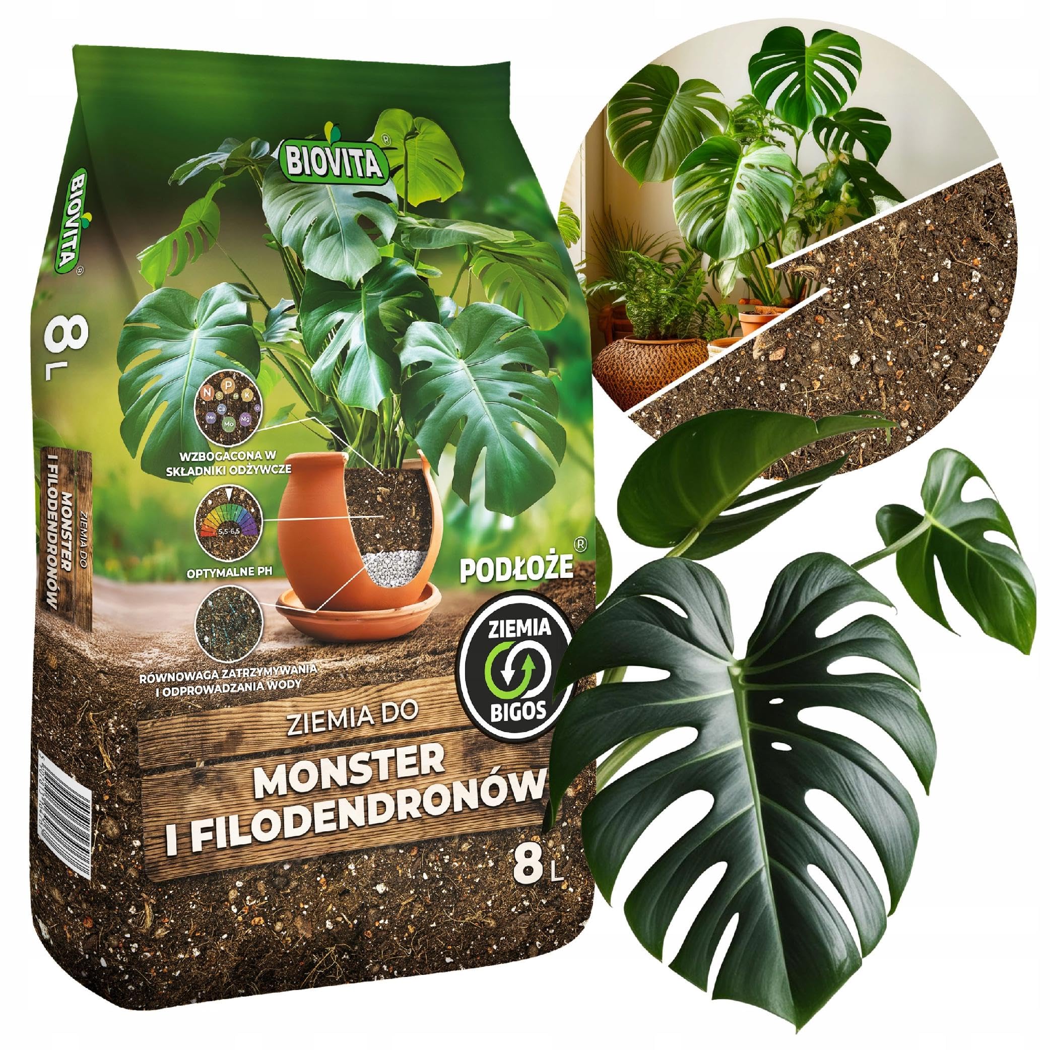 Biovita Substrat 8L fr Monstera & Philodendron  lockere Erde-Mischung mit  Kokos & Perlit  Profi-Pflanzsubstrat fr Zimmerpflanzen : Amazon.de: Garten