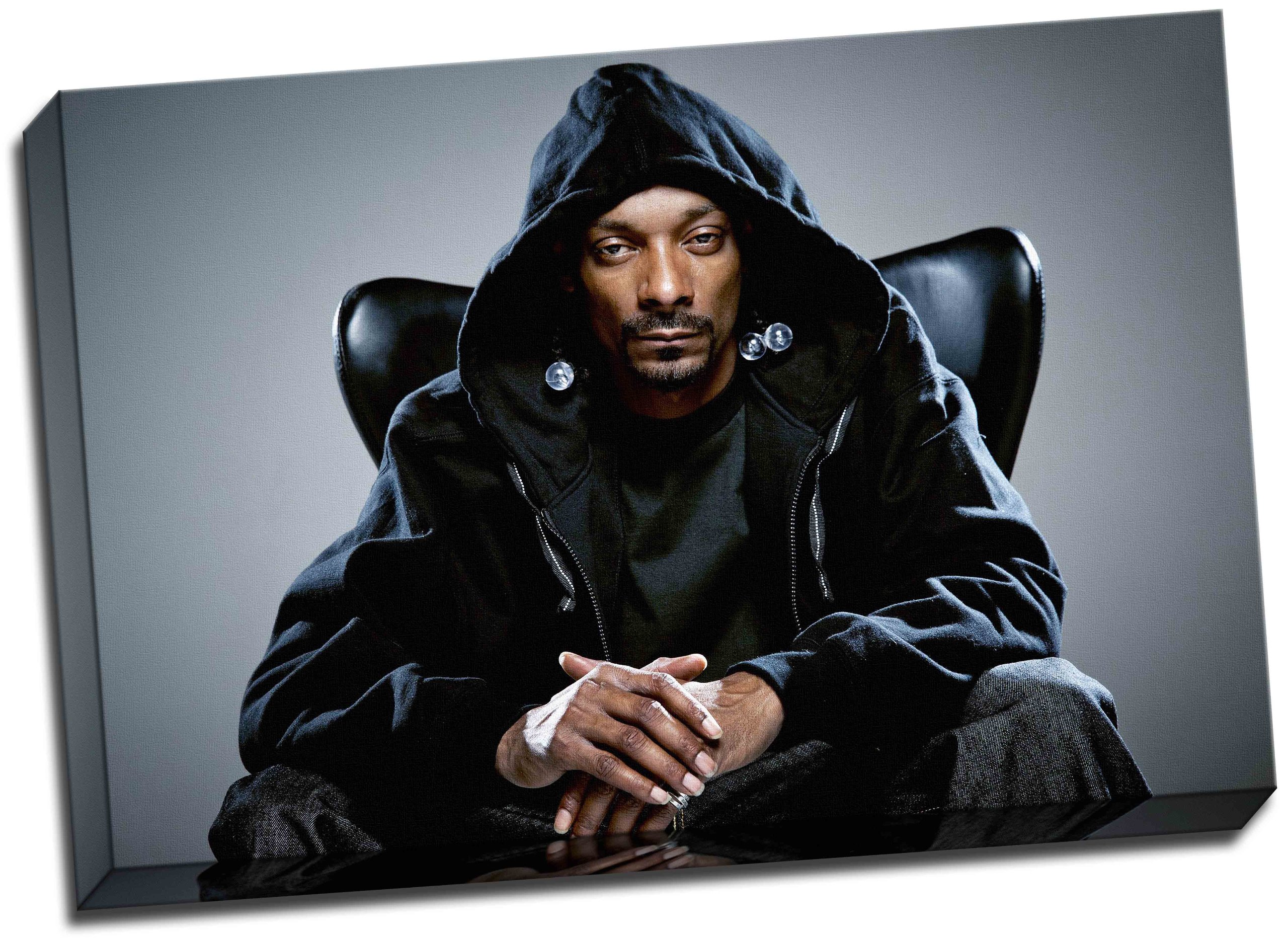 Panther Print Black Snoop Dogg Poster Canvas Art Print Picture 20X30 Inches A1