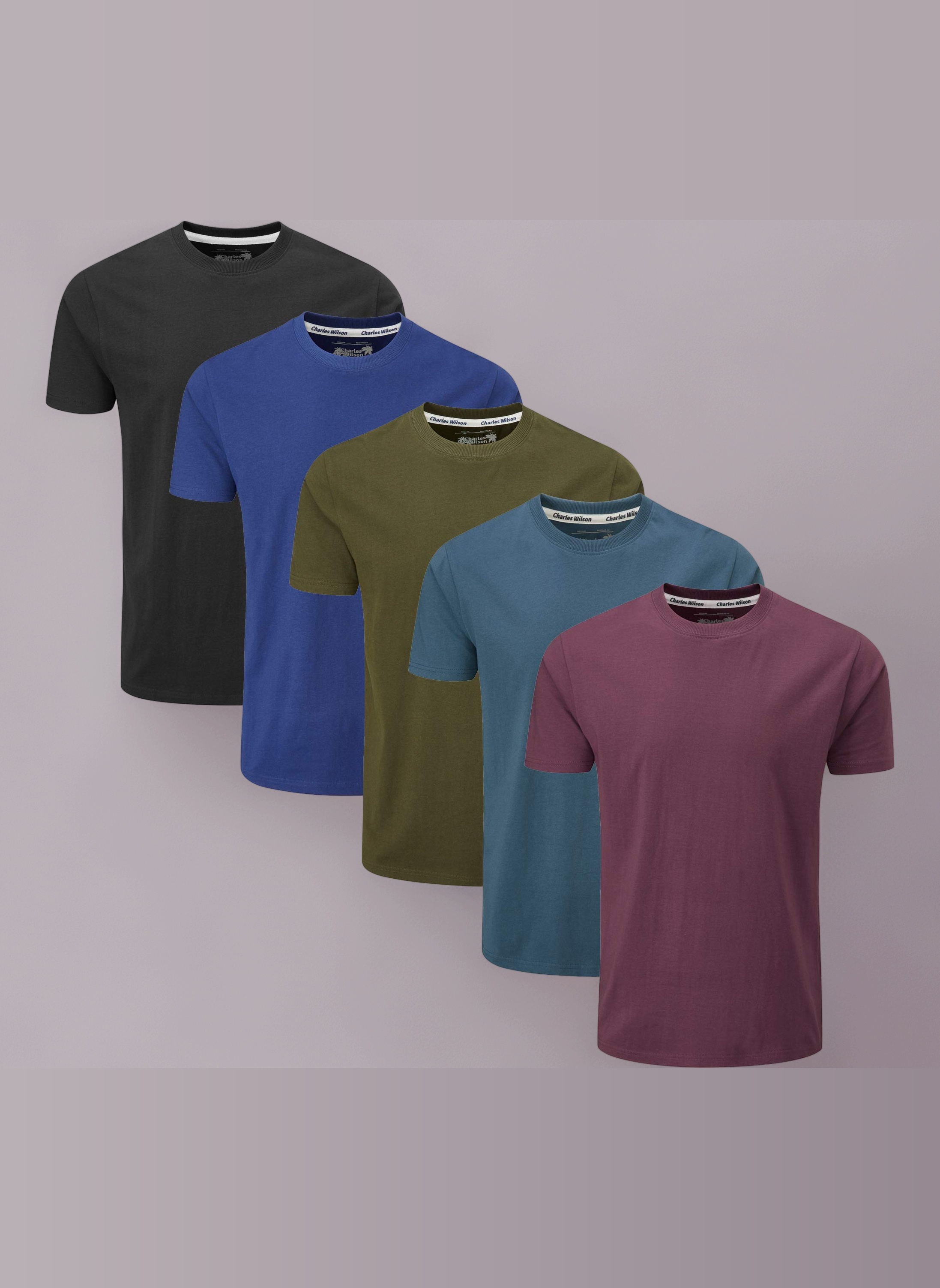 Charles Wilson 5 Pack Plain Crew Neck T-Shirt