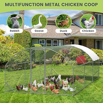 Walk in Chicken Run, Large Metal Chicken Coop, Dome Poultry Cage with 4 Corner Reinforcement Ribs, Pet Playpen for 15-21 Chickens, Hens, Ducks, Rabbits, 9.8 w x 19.7 l x 6.6 h Ft, Silver