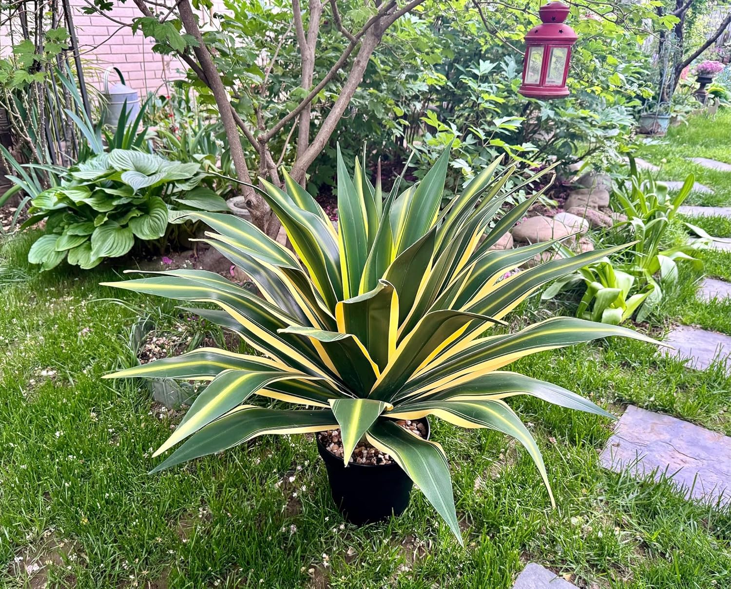 SUNPRAIRIE 34 Inch Tall Large Artificial Agave Plant in Pot with 45 Leaves, Forest Green with Yellow-Edges. Outdoor and Indoor Faux Plants. - Image 7
