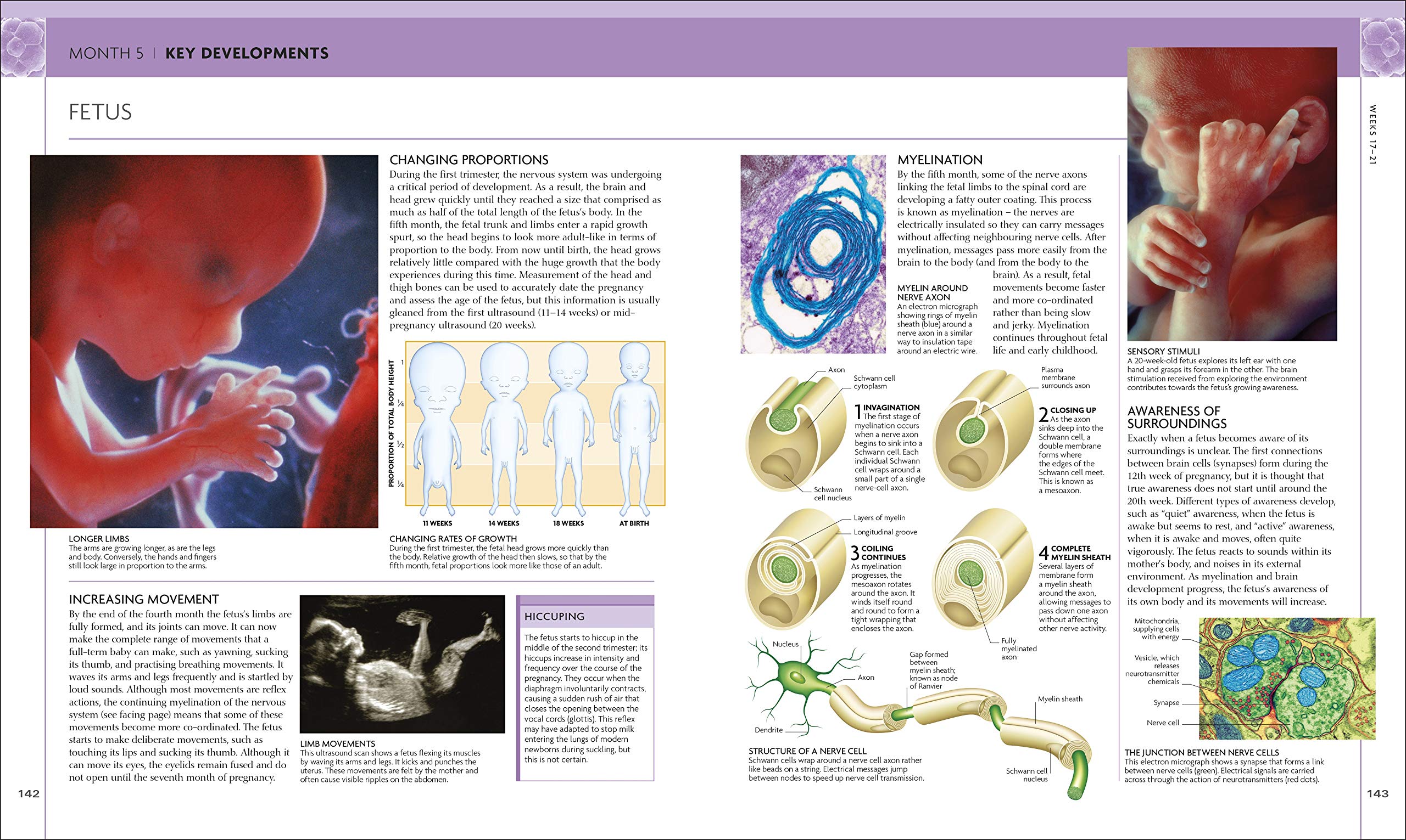 The Science of Pregnancy: The Complete Illustrated Guide from Conception to Birth