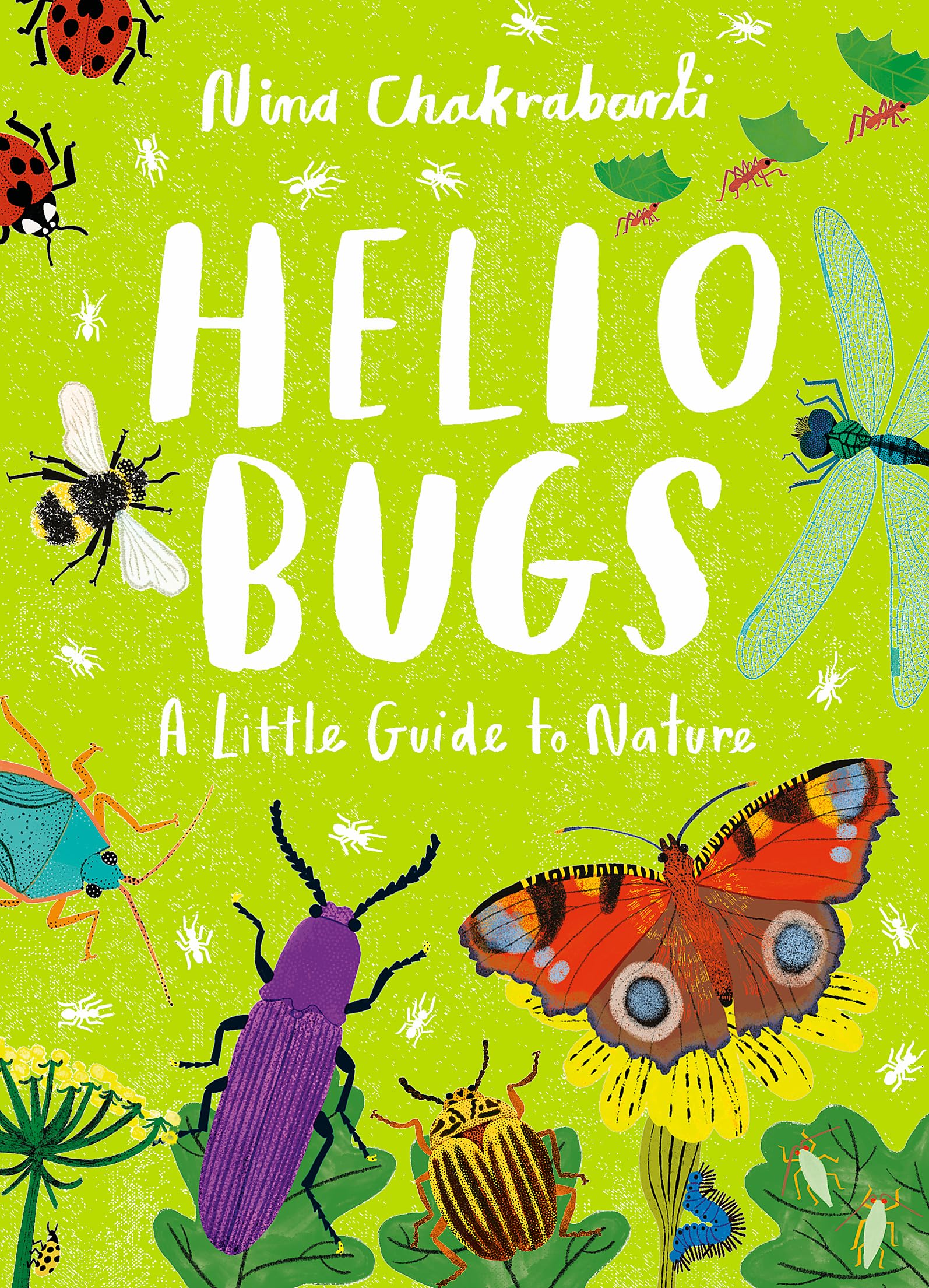 Little Guides to Nature: Hello Bugs by Nina Chakrabarti (Hardback Book)