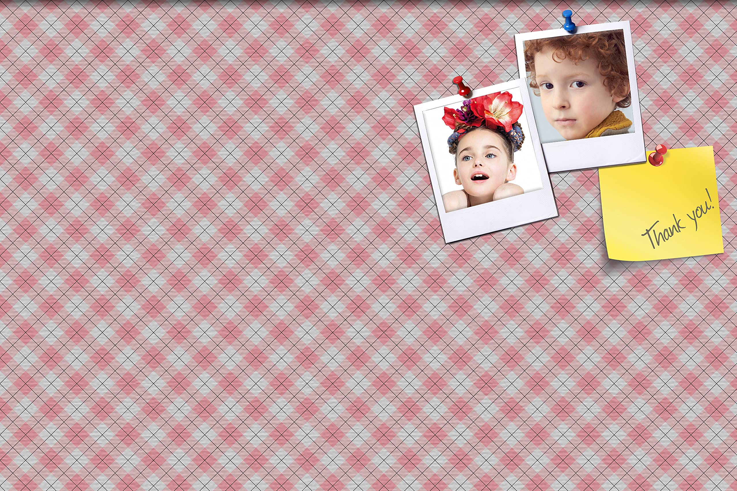 Light Pink Poster Board