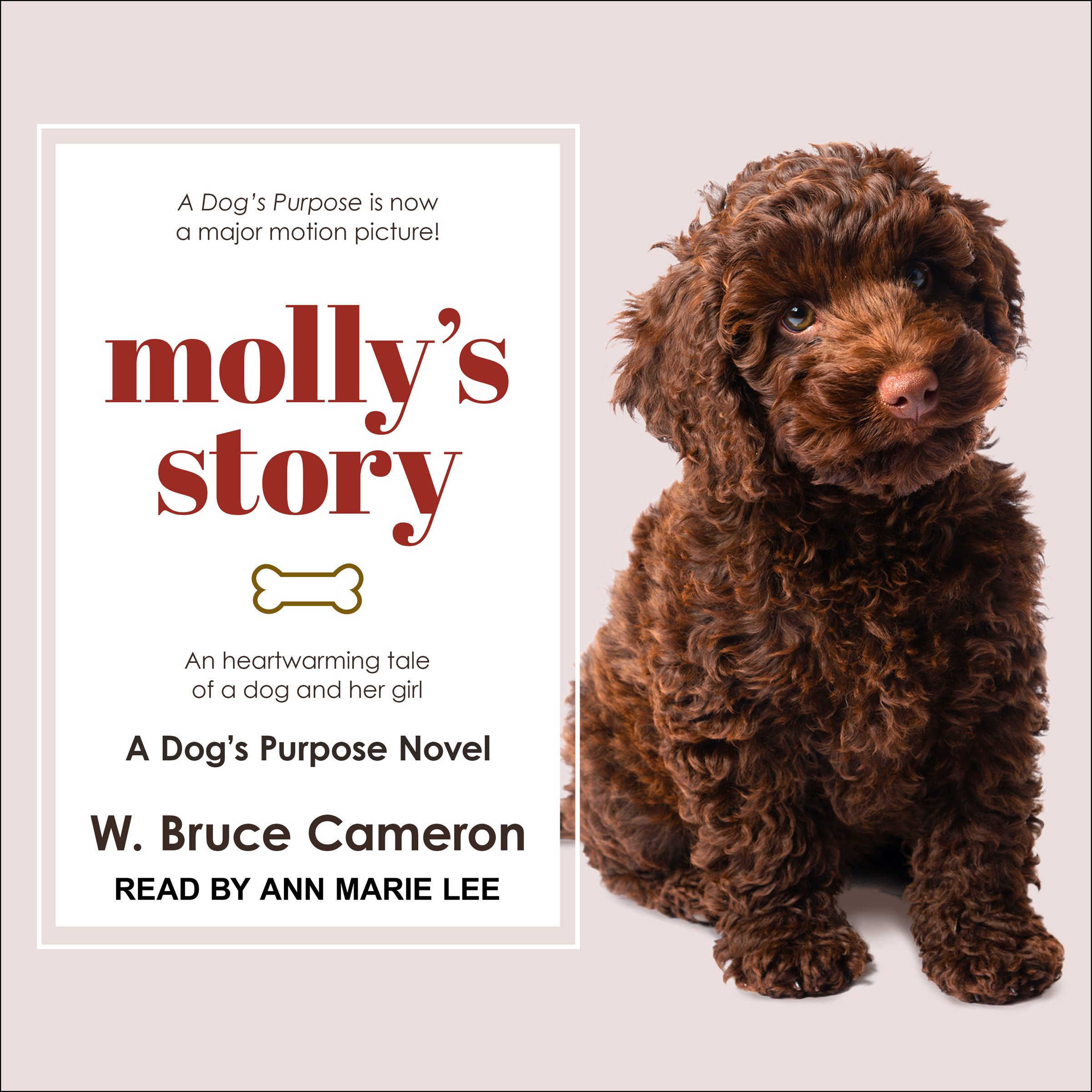 Cover art for Molly's Story