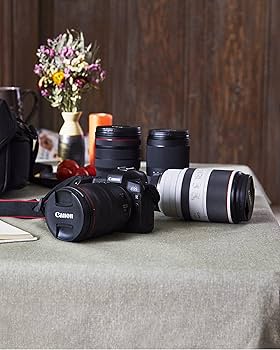 Canon - EOS R RF 24-105mmF4 L IS USMセット Amazon.com : Canon EOS R RF24-105mm F4 L is USM Lens Kit