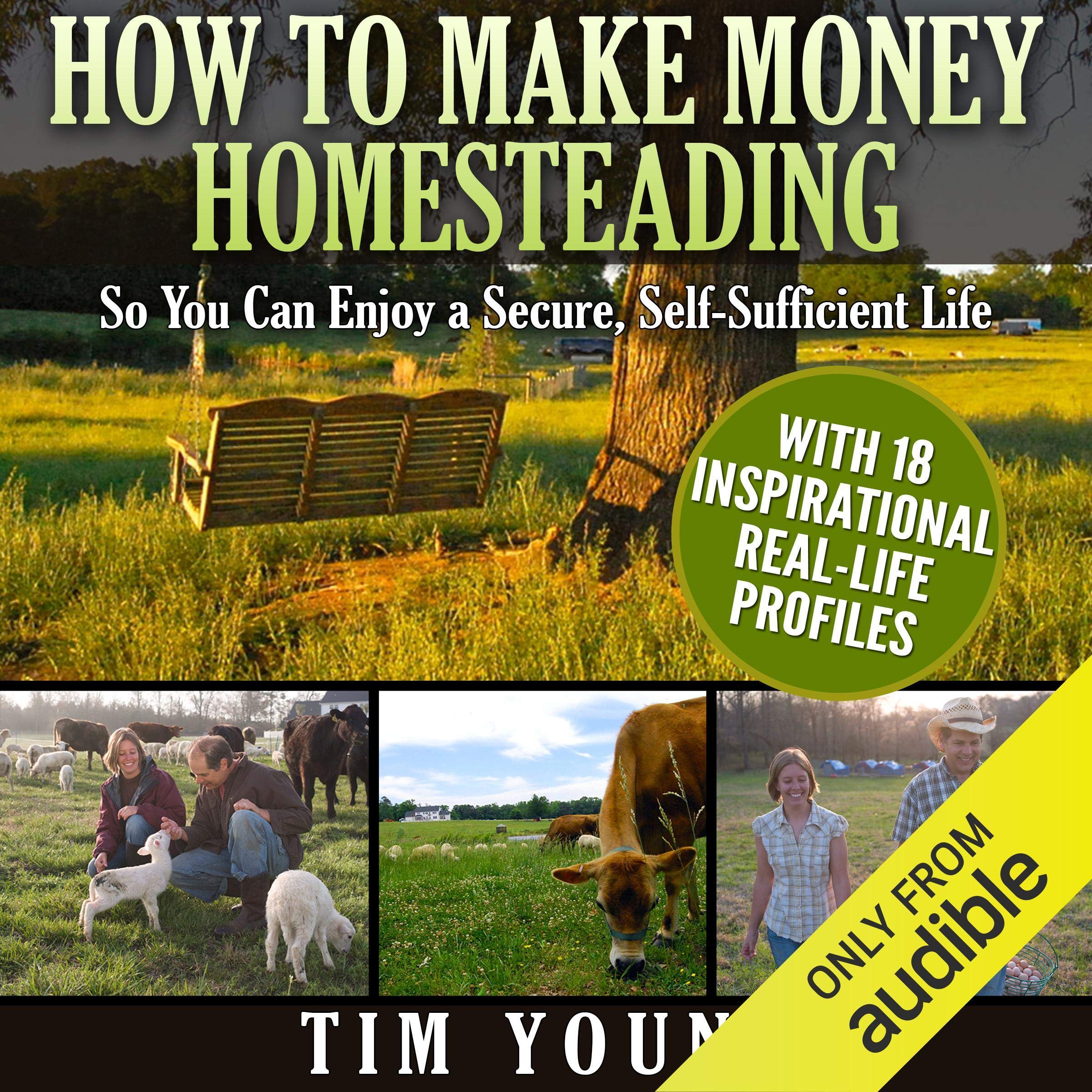 Cover art for How to Make Money Homesteading