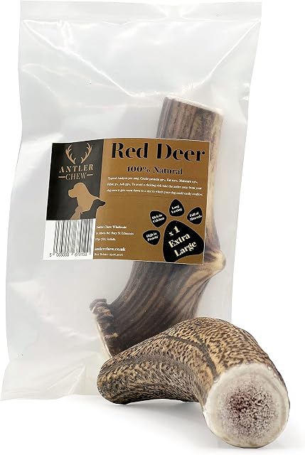 Antler Chew Wholesale - Red Deer XL (200-350g), Antler Dog Chew Long Lasting Toy for Dogs, Premium 100%, Dog Treats, Dog Toys for Large Dogs, Dog Chews Long Lasting Natural, Dog Antler, Deer Antlers