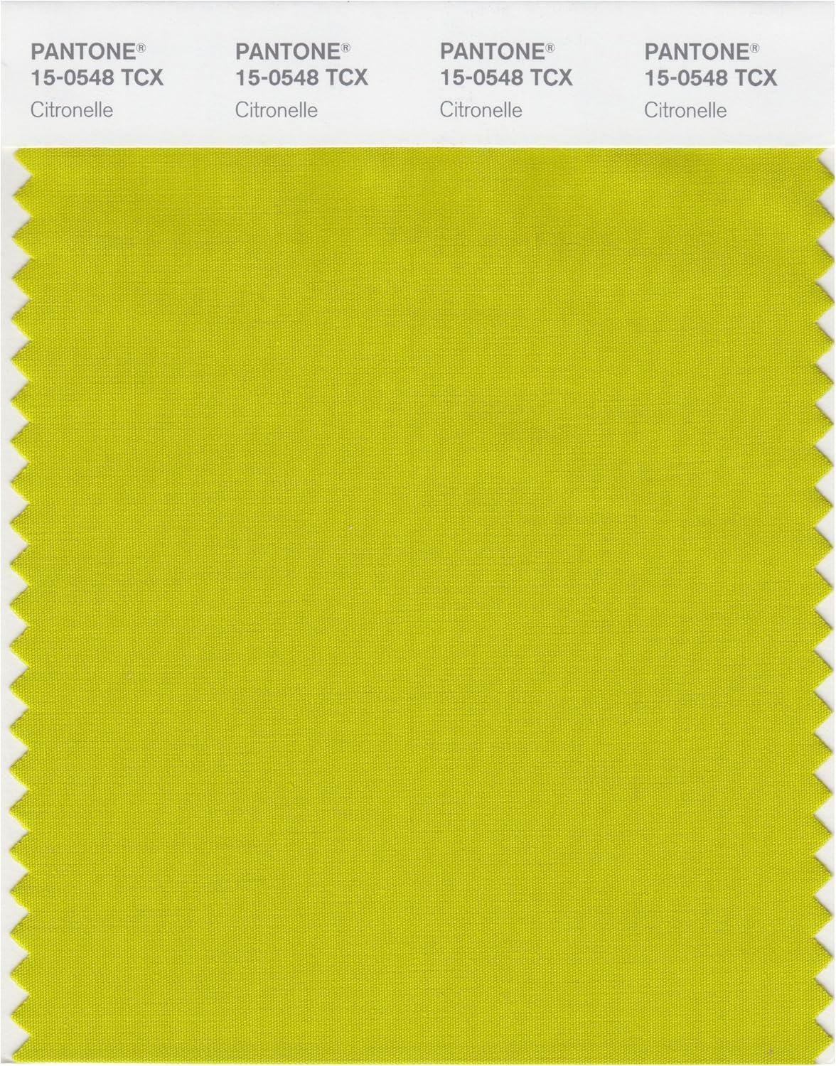 PANTONE Smart 15-0543X Color Swatch Card, Apple Green