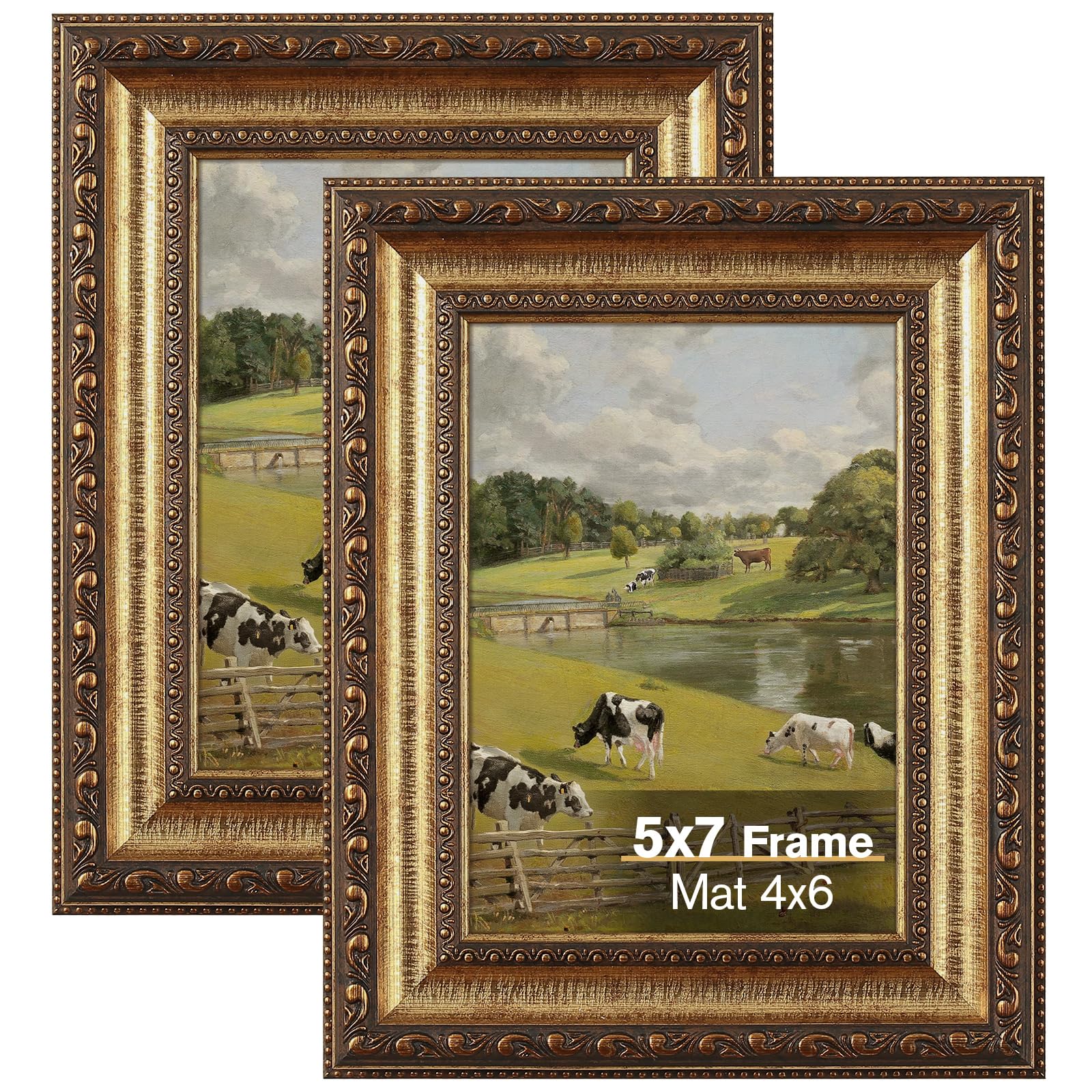 Splinterix 5x7 Gold Vintage Frames (2-Pack)