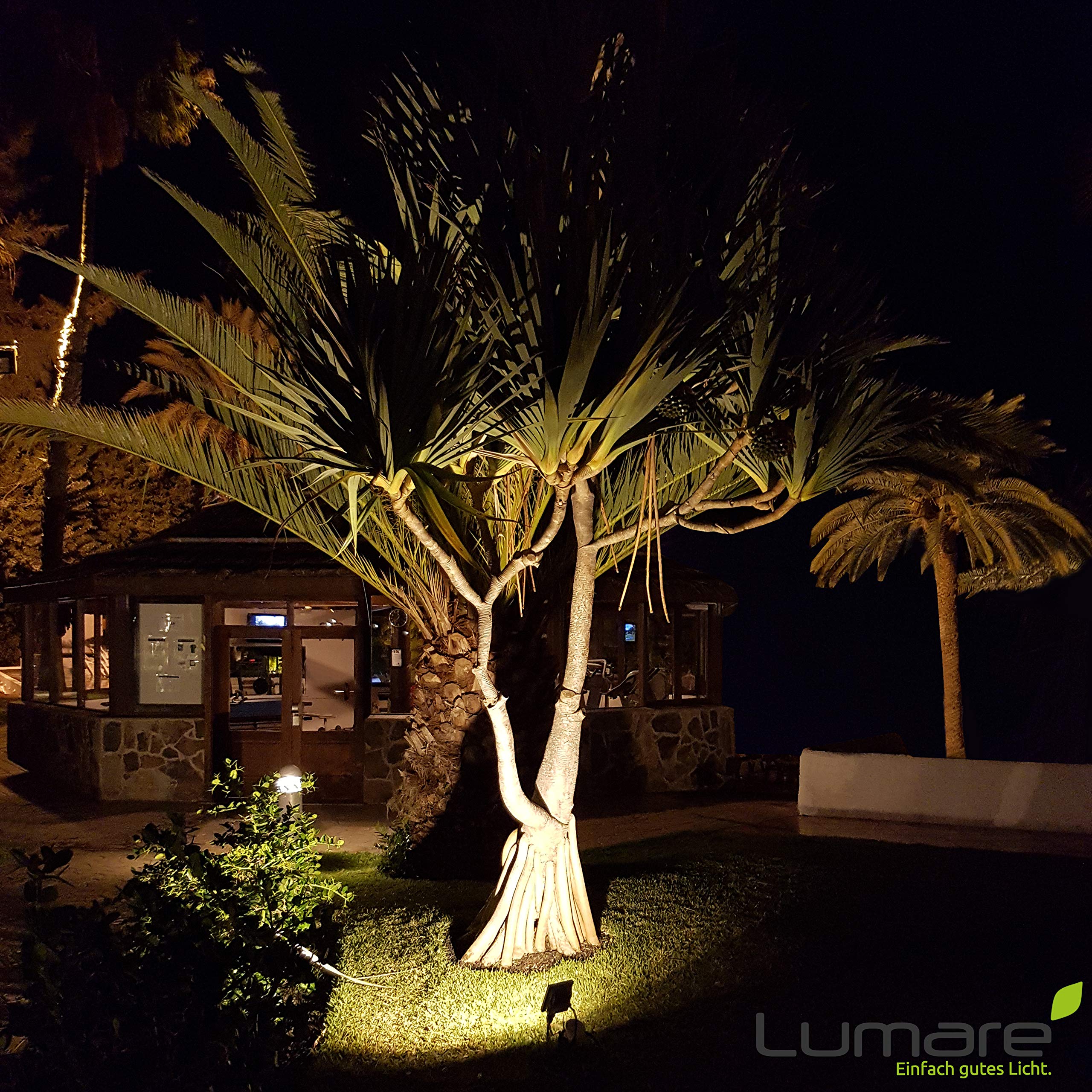 Lumare LED Projecteur 30W | avec détecteur de mouvement et fiche de raccordement | 3000lm | 3000K blanc chaud | Pour extérieur et intérieur IP65 | Projecteur remplace env. 200W
