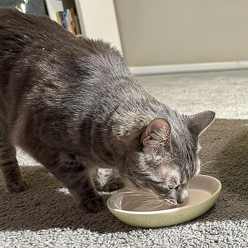 Miniatura 8 de SPOT Plato ovalado moteado para gatos, plato de cerámica con bordes bajos, platillo con forma apta para bigotes y lados de perfil bajo, ideal para