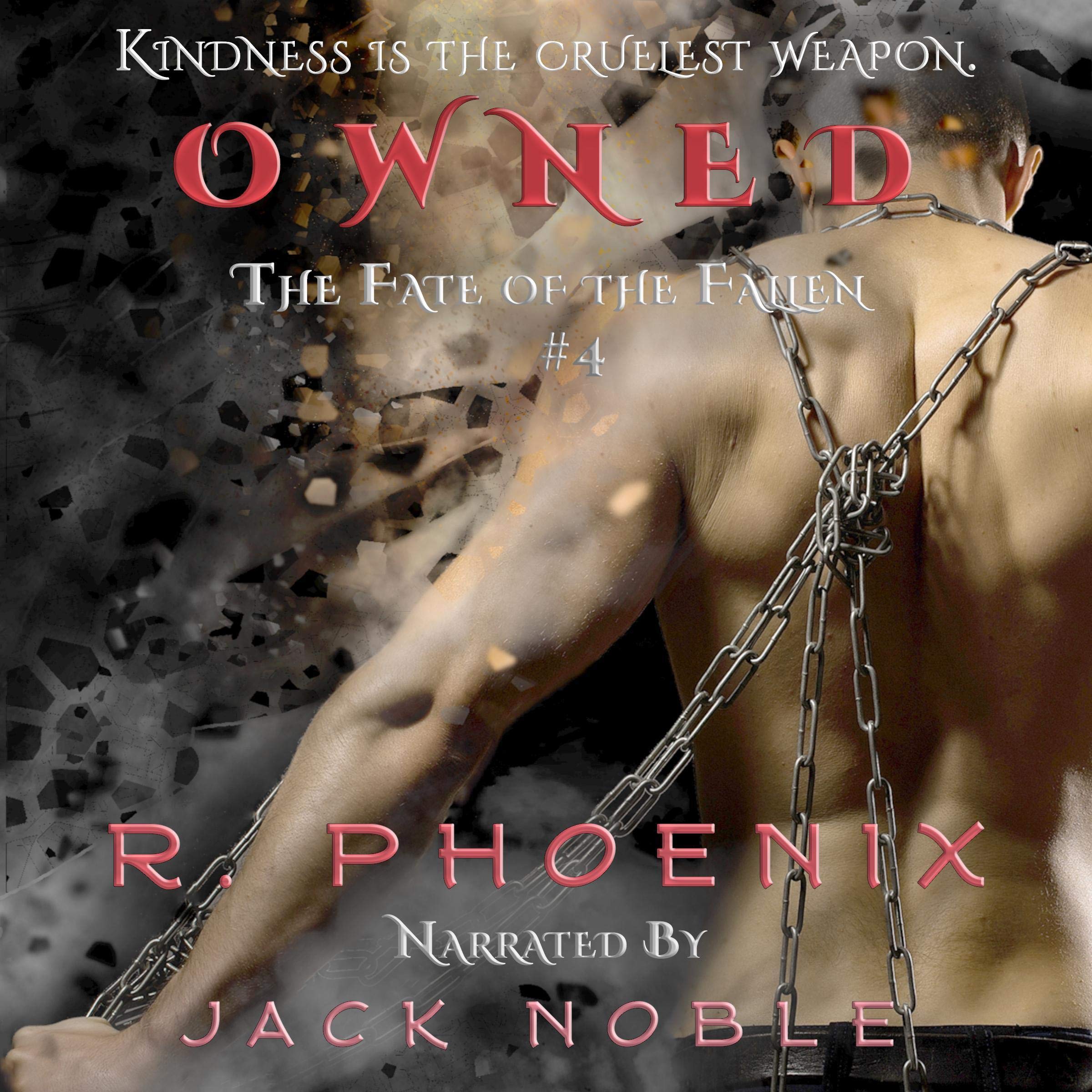 Cover art for Owned: The Fate of the Fallen