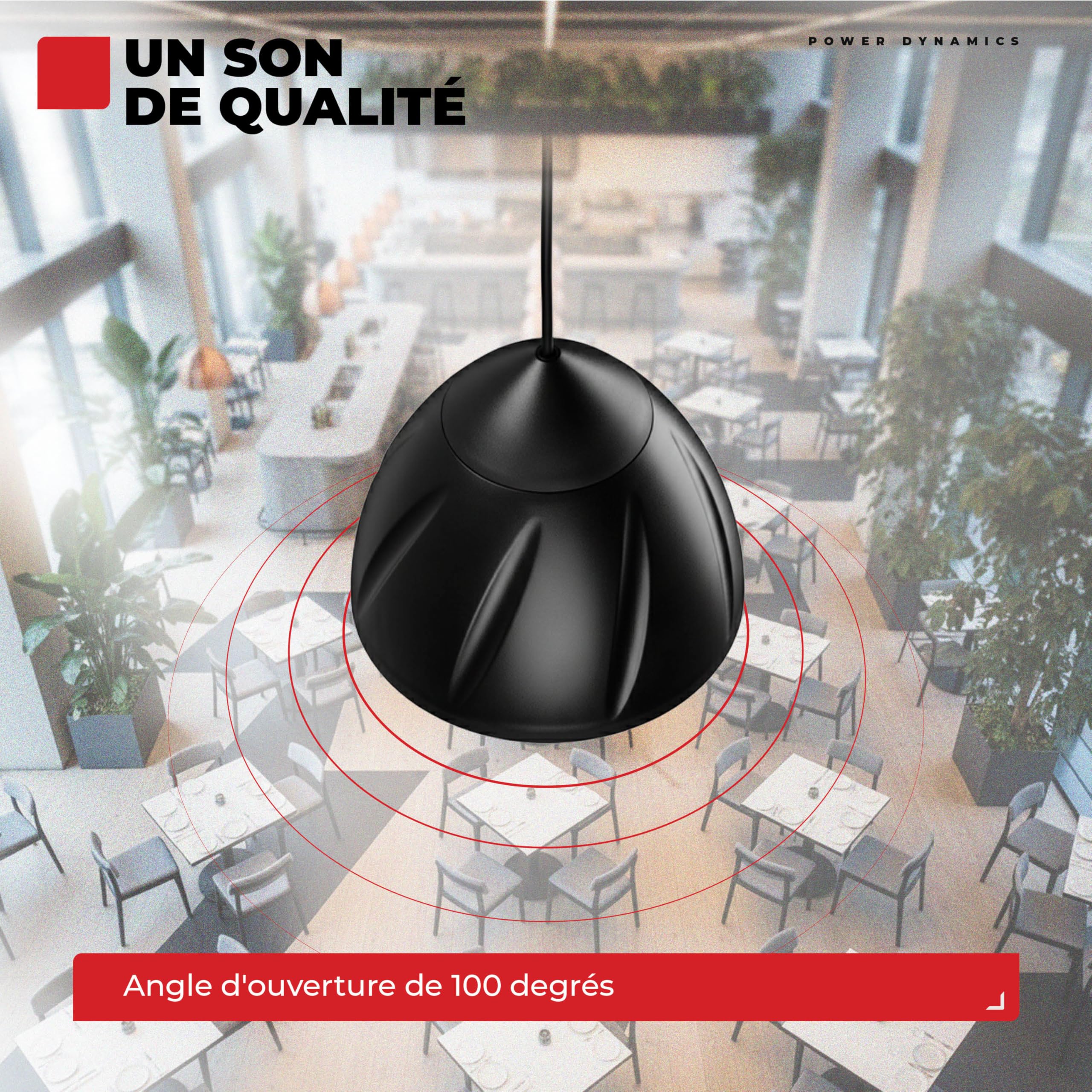 PDS50B Enceinte à Suspendre 2 Voies 6,5 Pouces, Noir, Compatible 8 Ohms et 100V, Sélecteur de Puissance, Installation avec Câble Suspension, Idéal pour Bureaux, Magasins et Espaces Publics