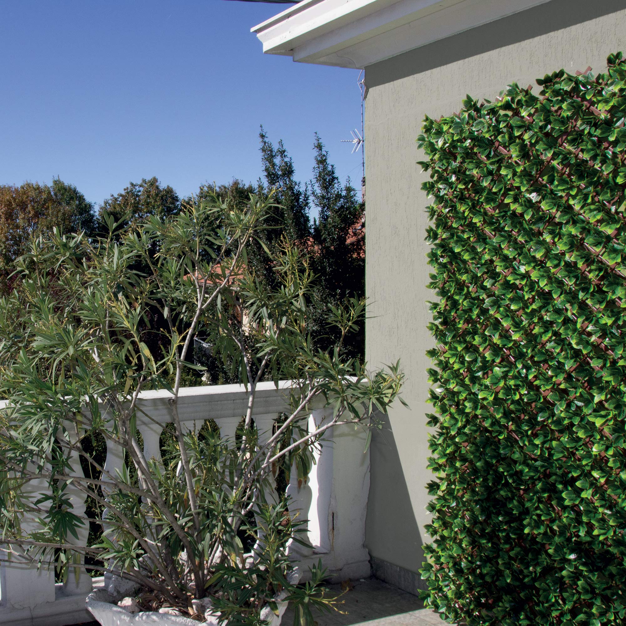 TENAX Siepe Artificiale con Foglie 3d su Traliccio Estensibile in PVC, Divy 3D Trellis, 1x2 m