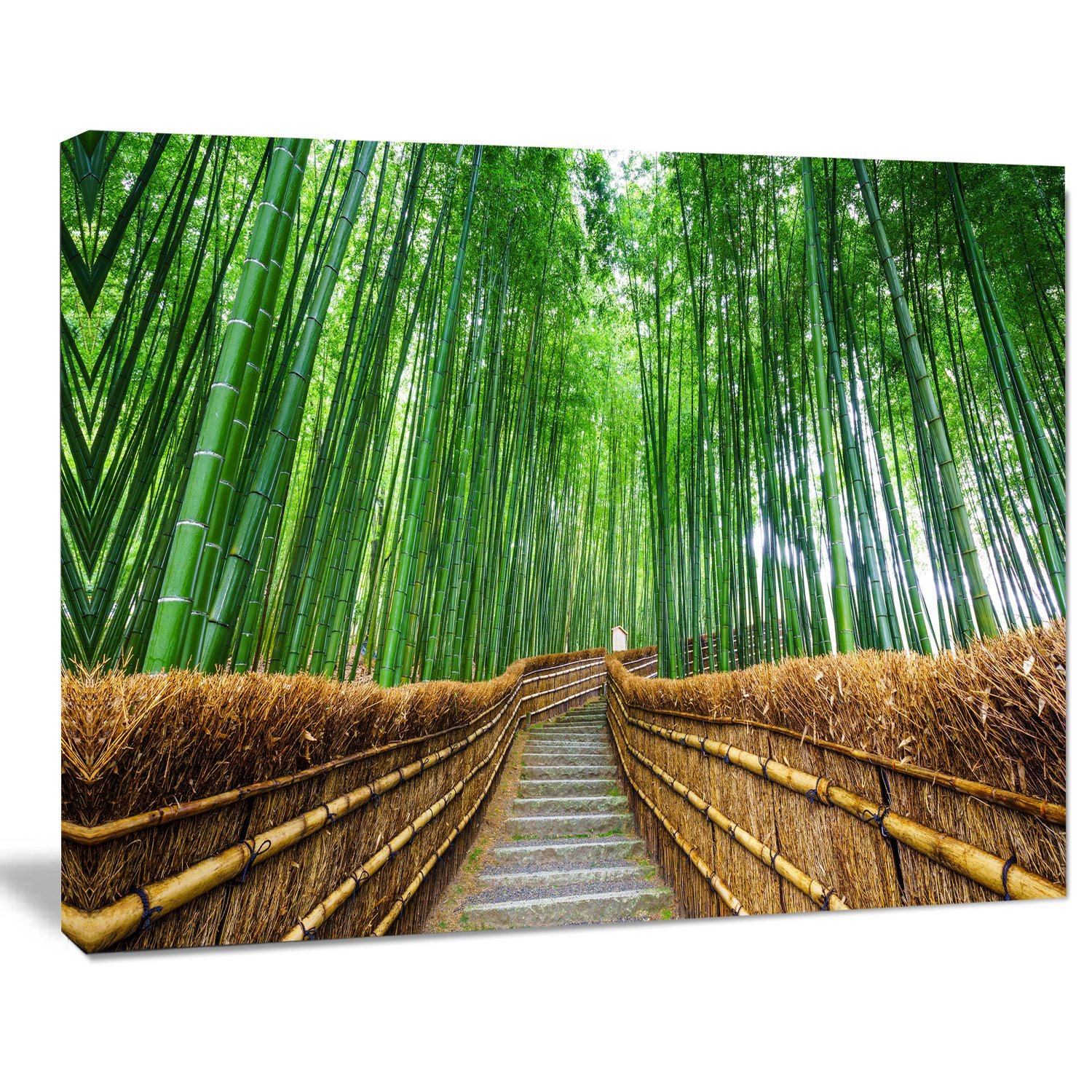 Designart PT8622-20-12 Path to Bamboo Forest-Landscape Photo Canvas Print-20x12, 12 in x 20 in x 1 in (H x W x D) 1 P, Green