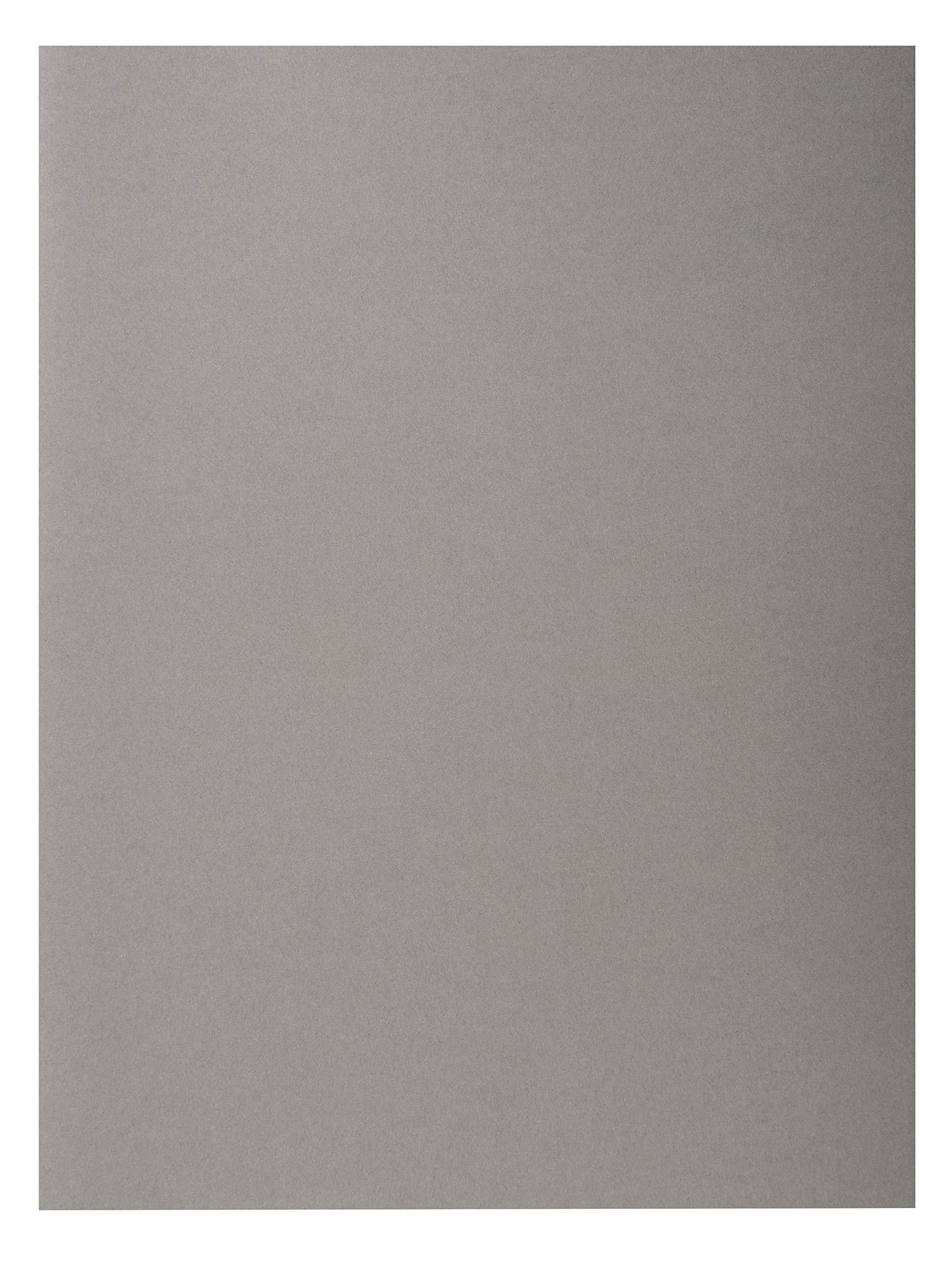 Exacompta 410009E Cartelle Semplici, 220 g, DIN A4, 24 x 32 cm, Grigio